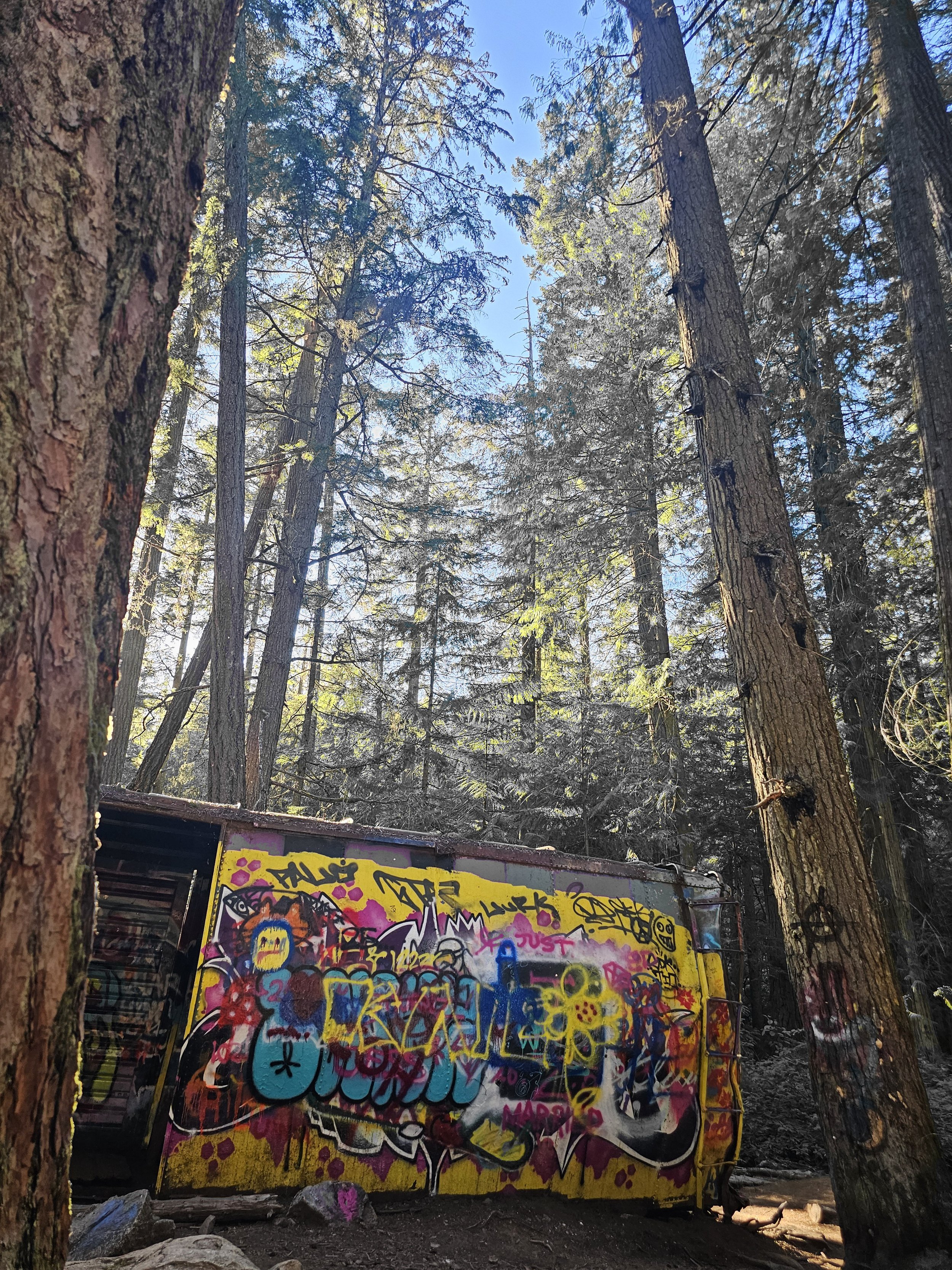 train wreck in the woods