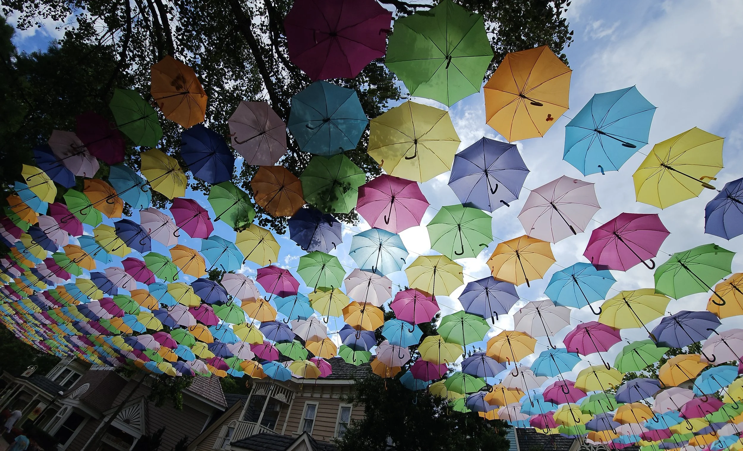 panoramic of the umbrellas