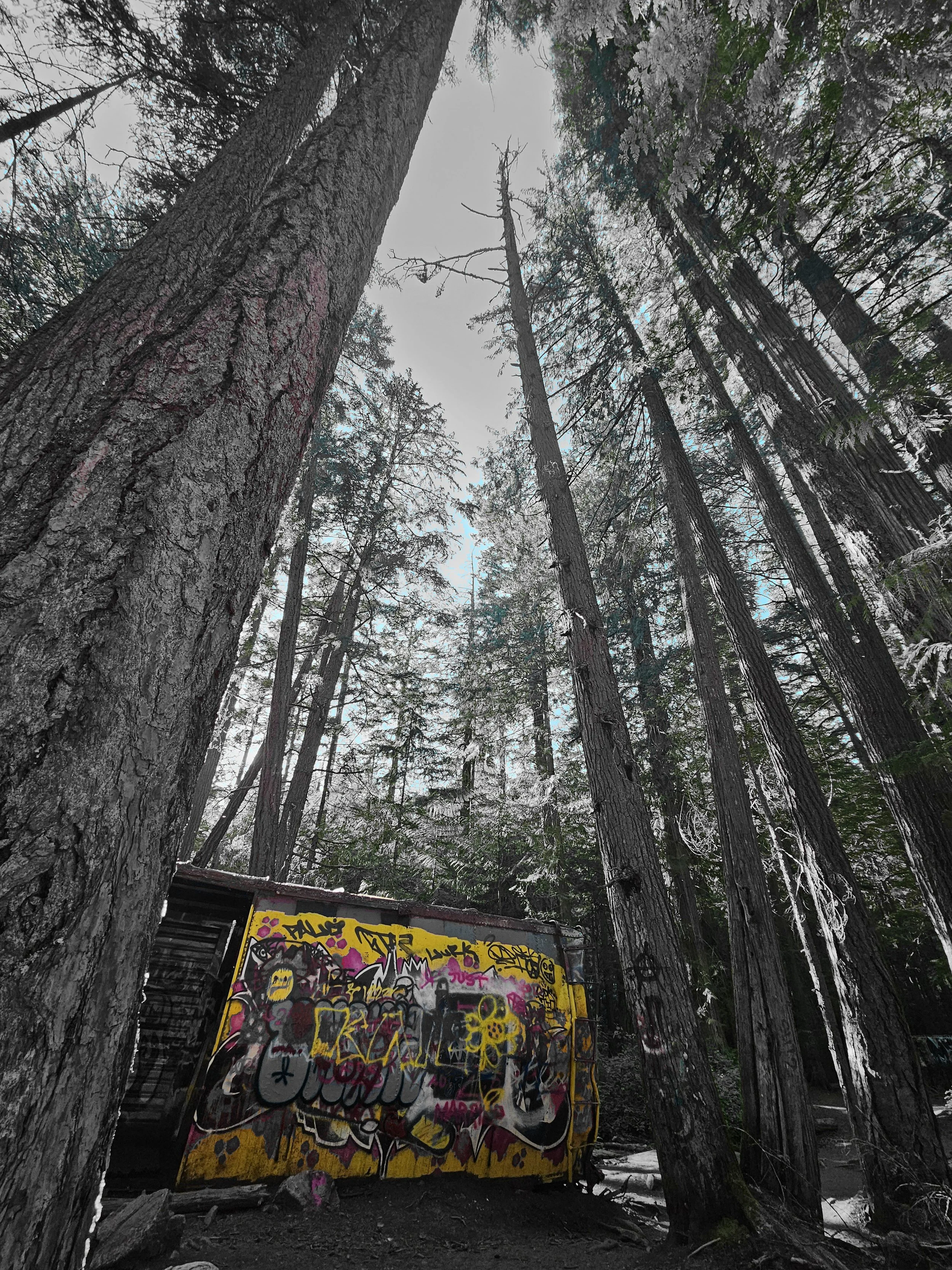 vertical panoramic spot color