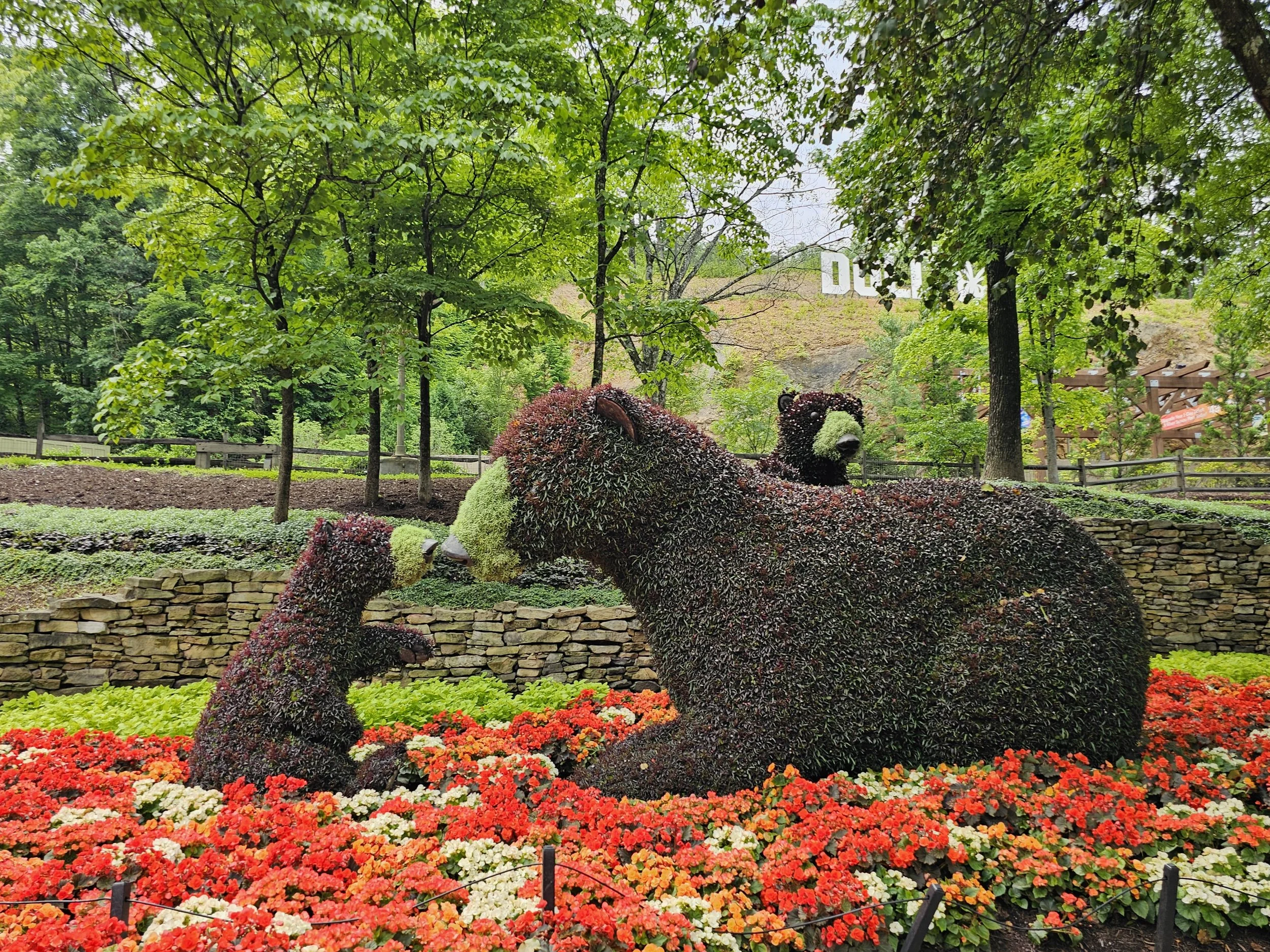 bear topiaries