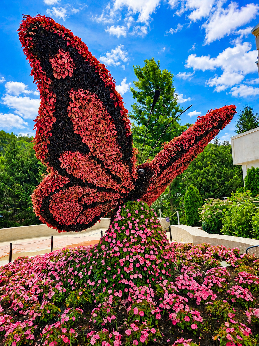 A butterfly topiary