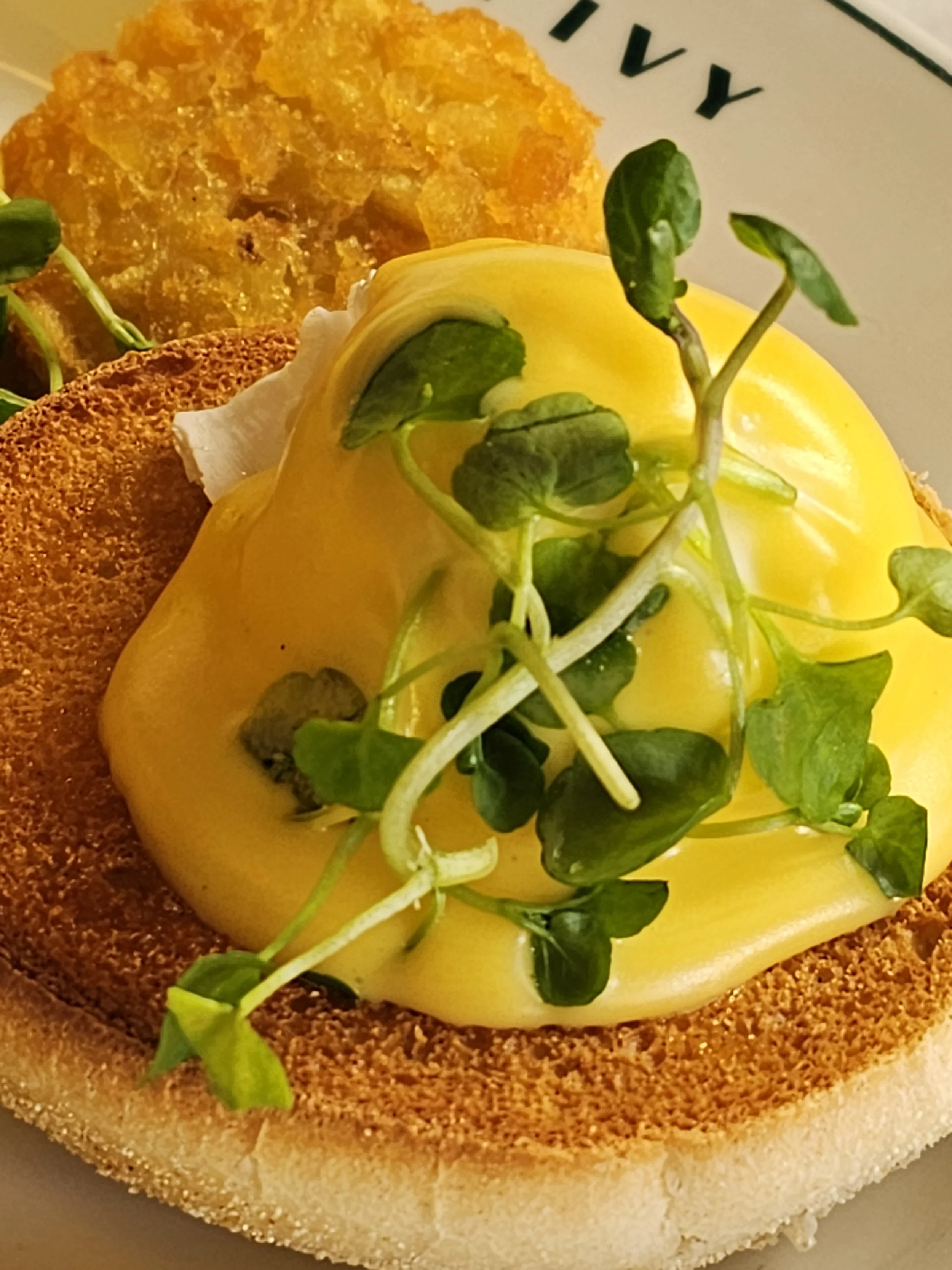 eggs benedict