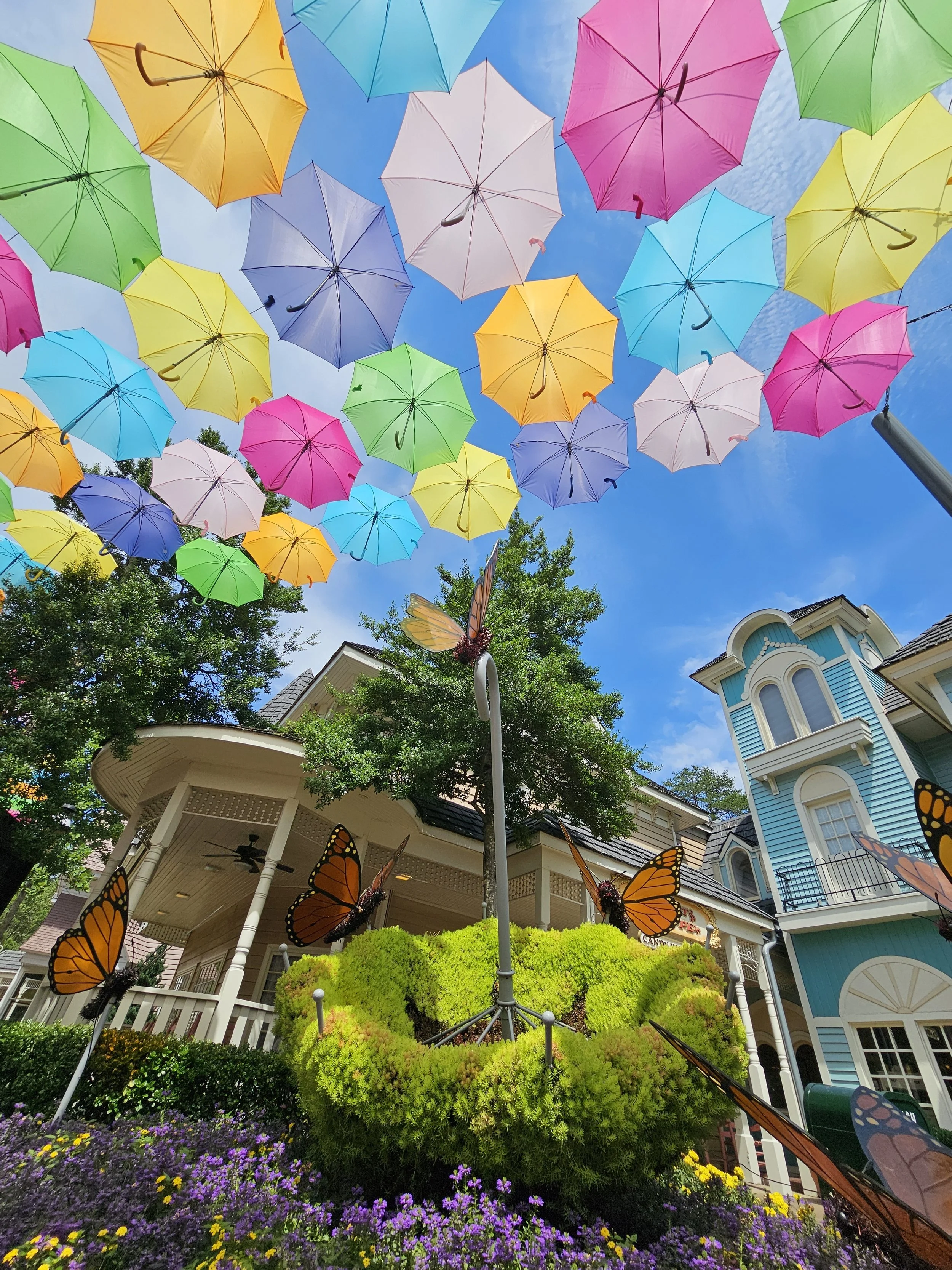 garden image with the umbrellas