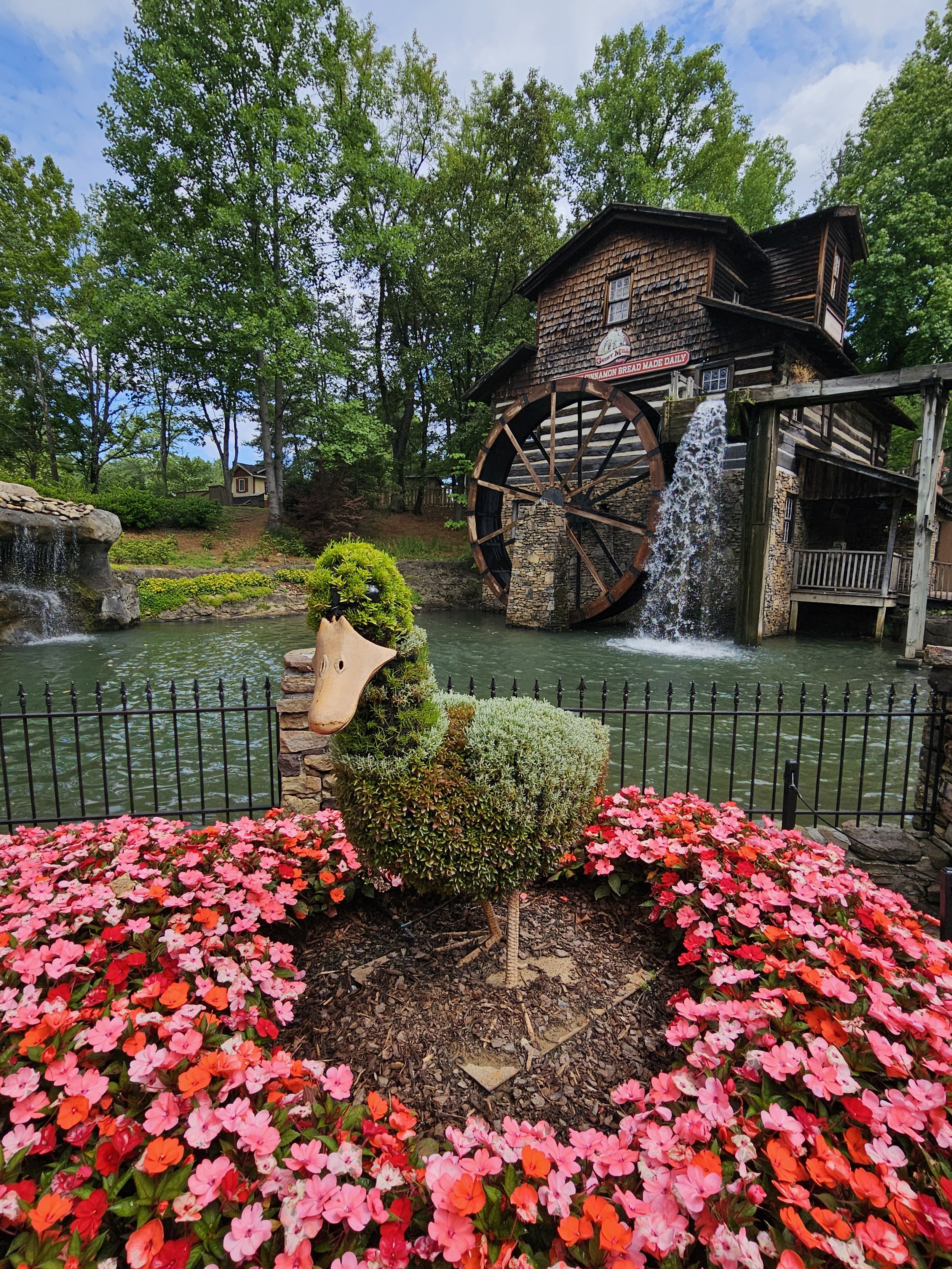 duck topiary wide angle