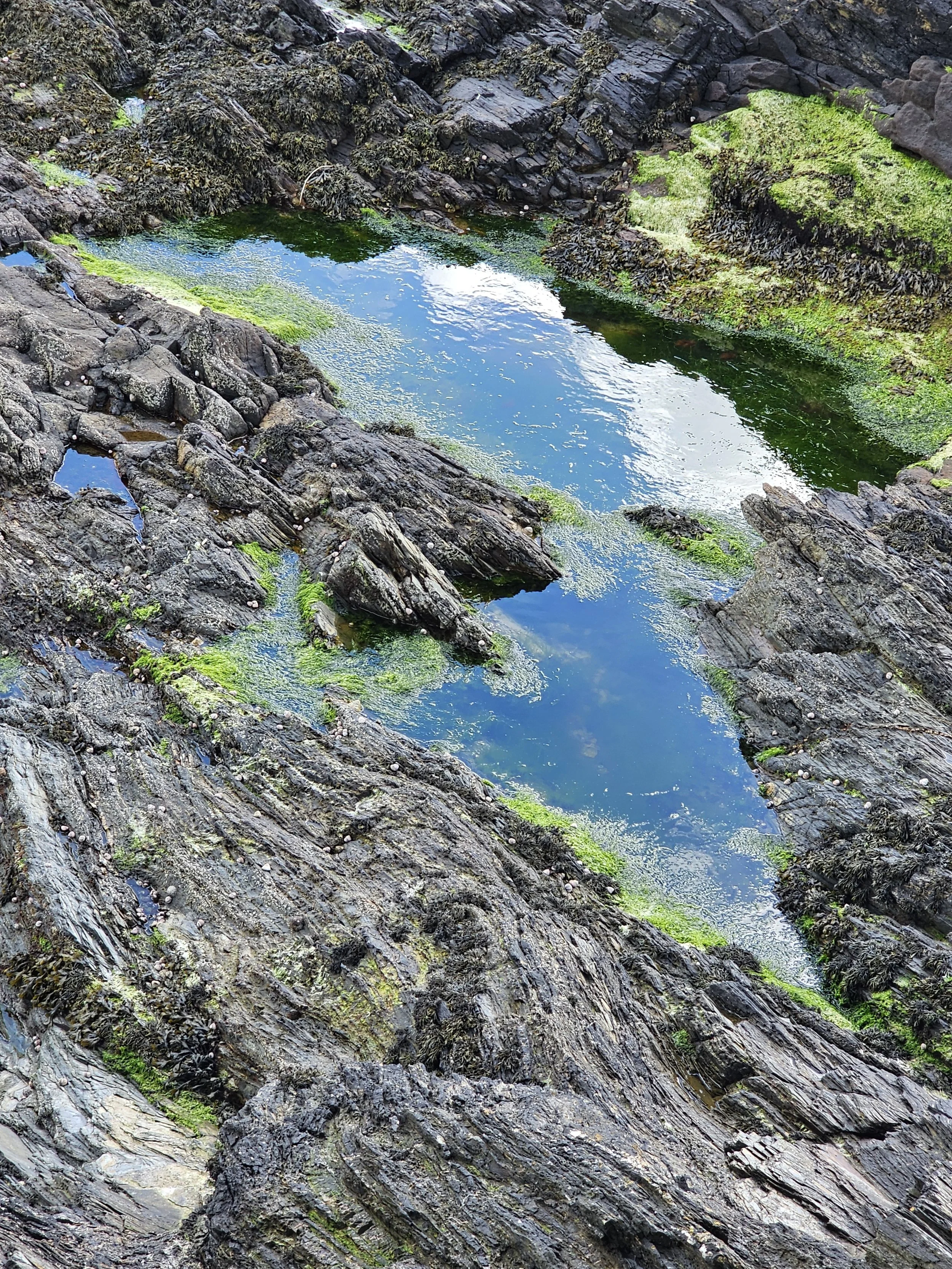 puddles in rocks reflecting the sky