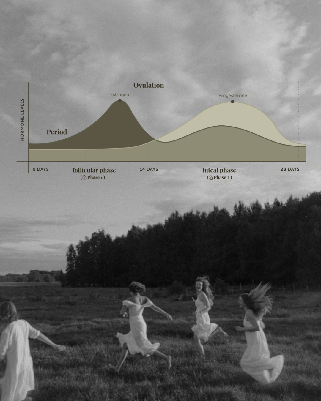 Hormonal imbalance support for women