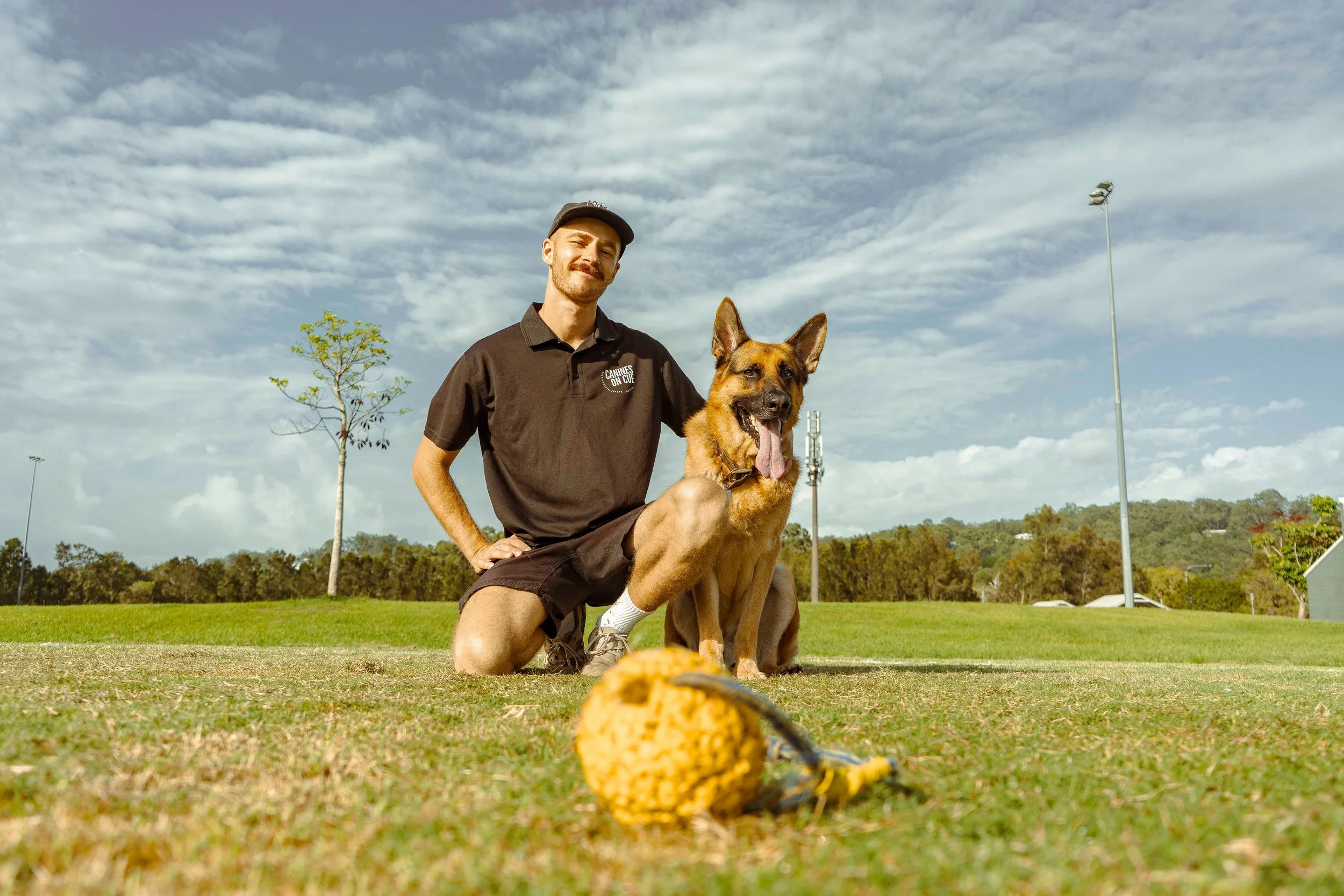 seb canines on cue dog trainer gold coast