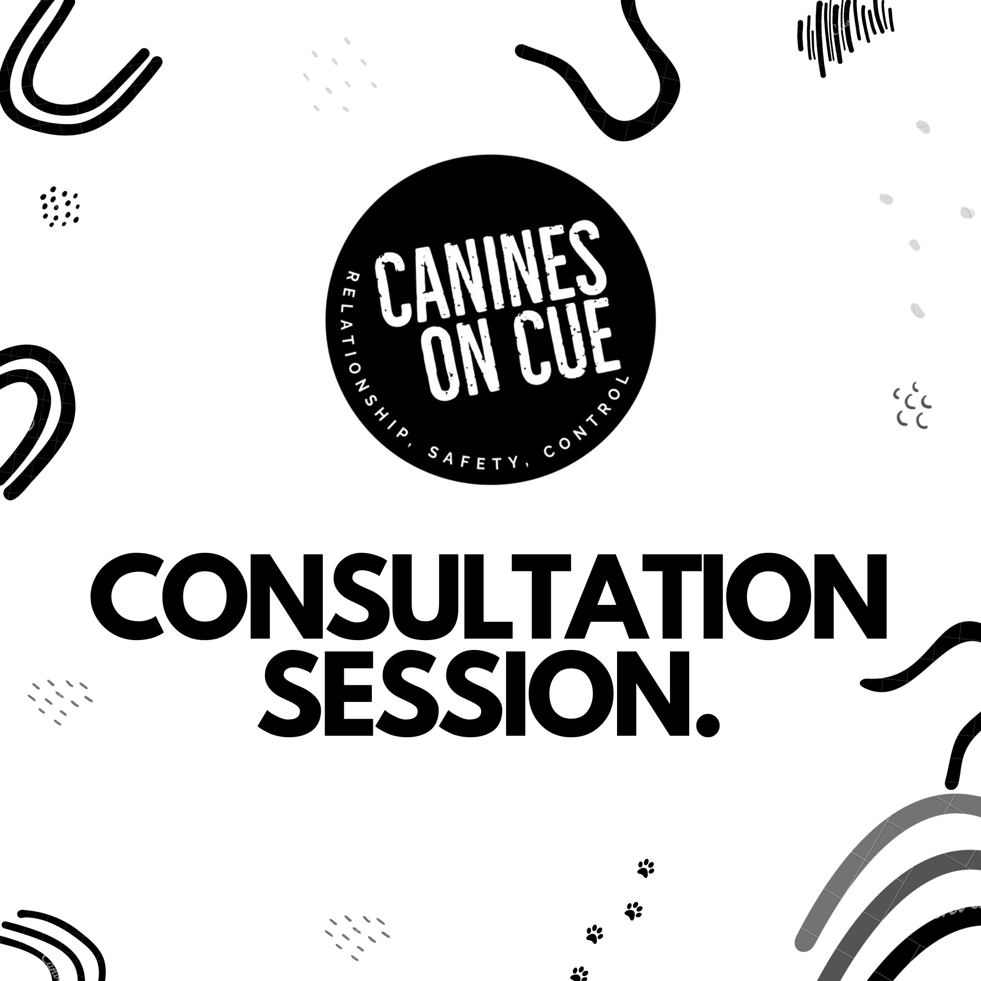 CONSULTATION SESSION.