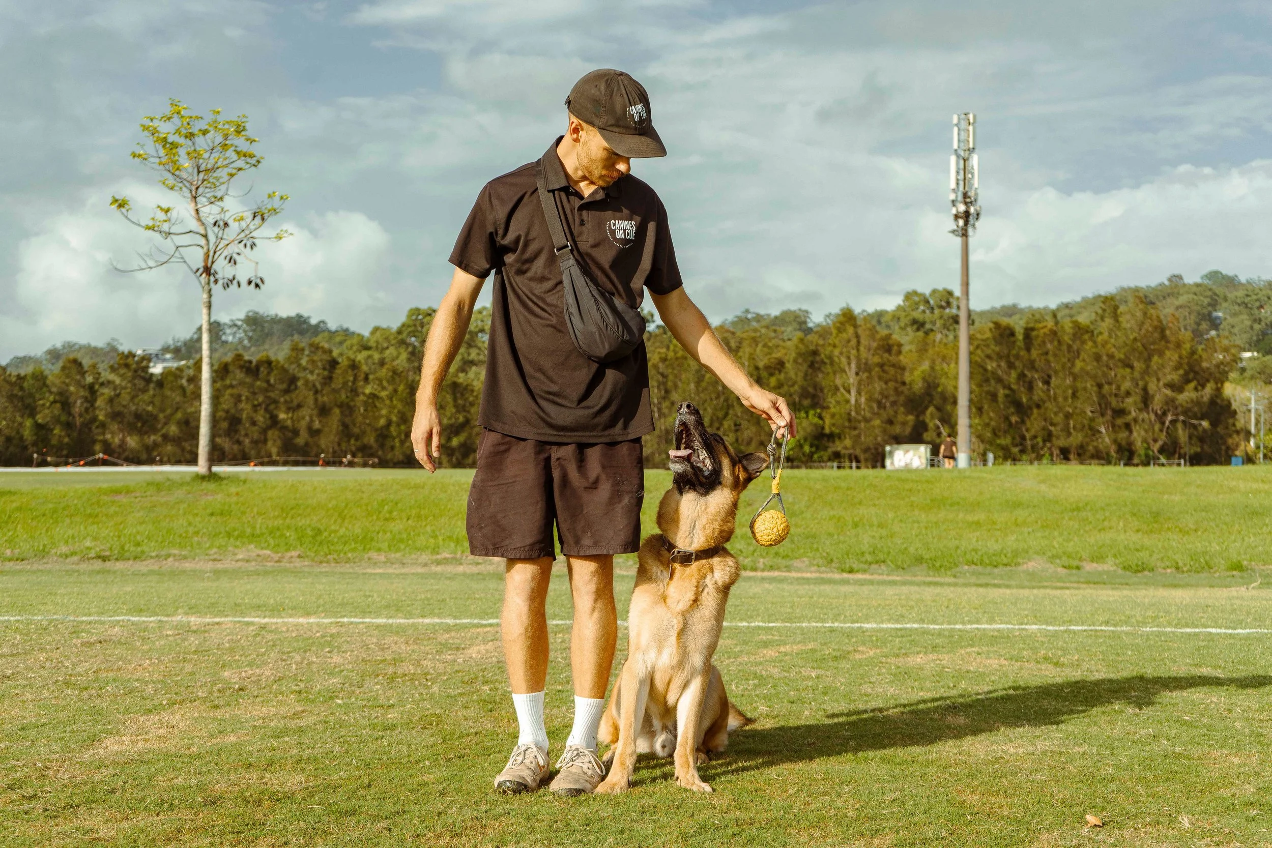 gold coast dog trainer black uniform german shepherd