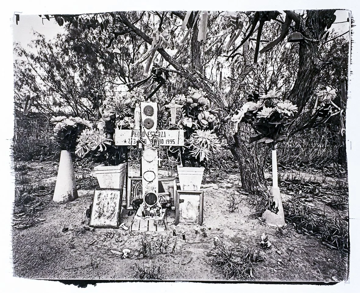 RDV-113.jpg