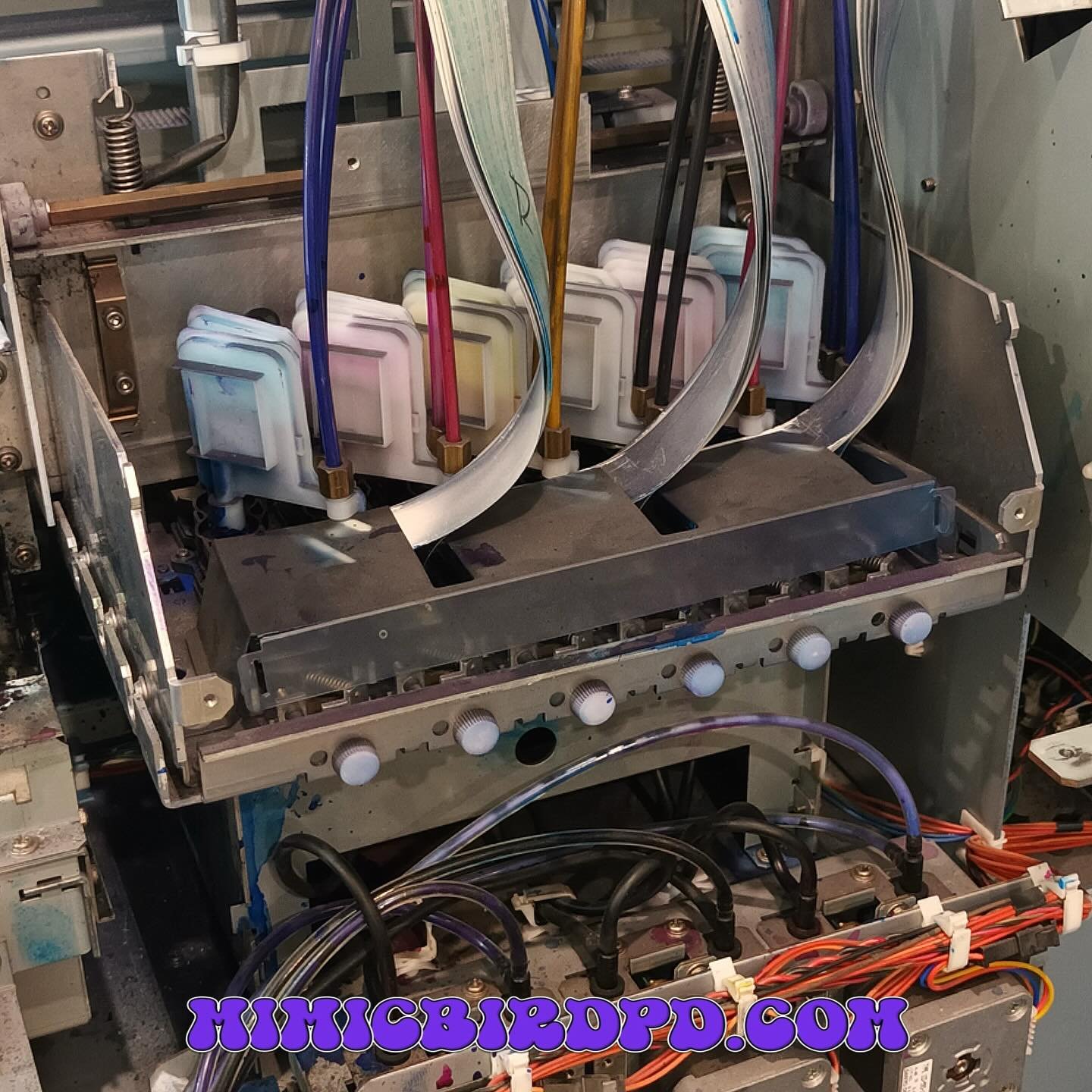 Servicing the printer with @lpd_branding .
-
Mimic Bird Print & Design.
-
8 sovereign drive, Hastings. VIC 3915
Mimicbirdpd.com
0403 247 080
-
#roland #rolandprinter #soljetpro3 #soljetpro #xc540proiii #graphicdesign #printing #printerservice #fl
