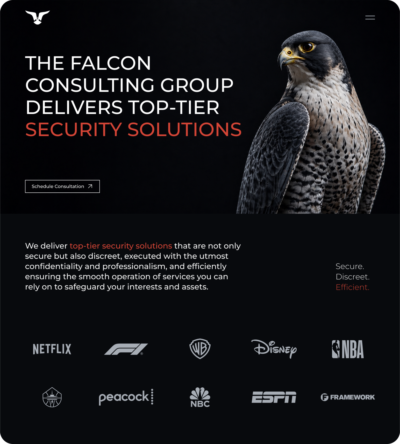 The Falcon Consulting Group