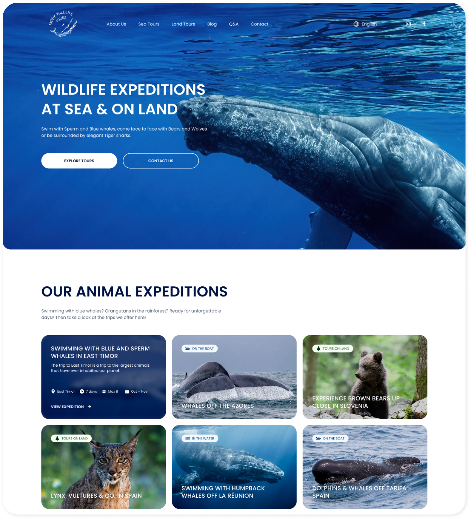 Moby Wildlife Tours