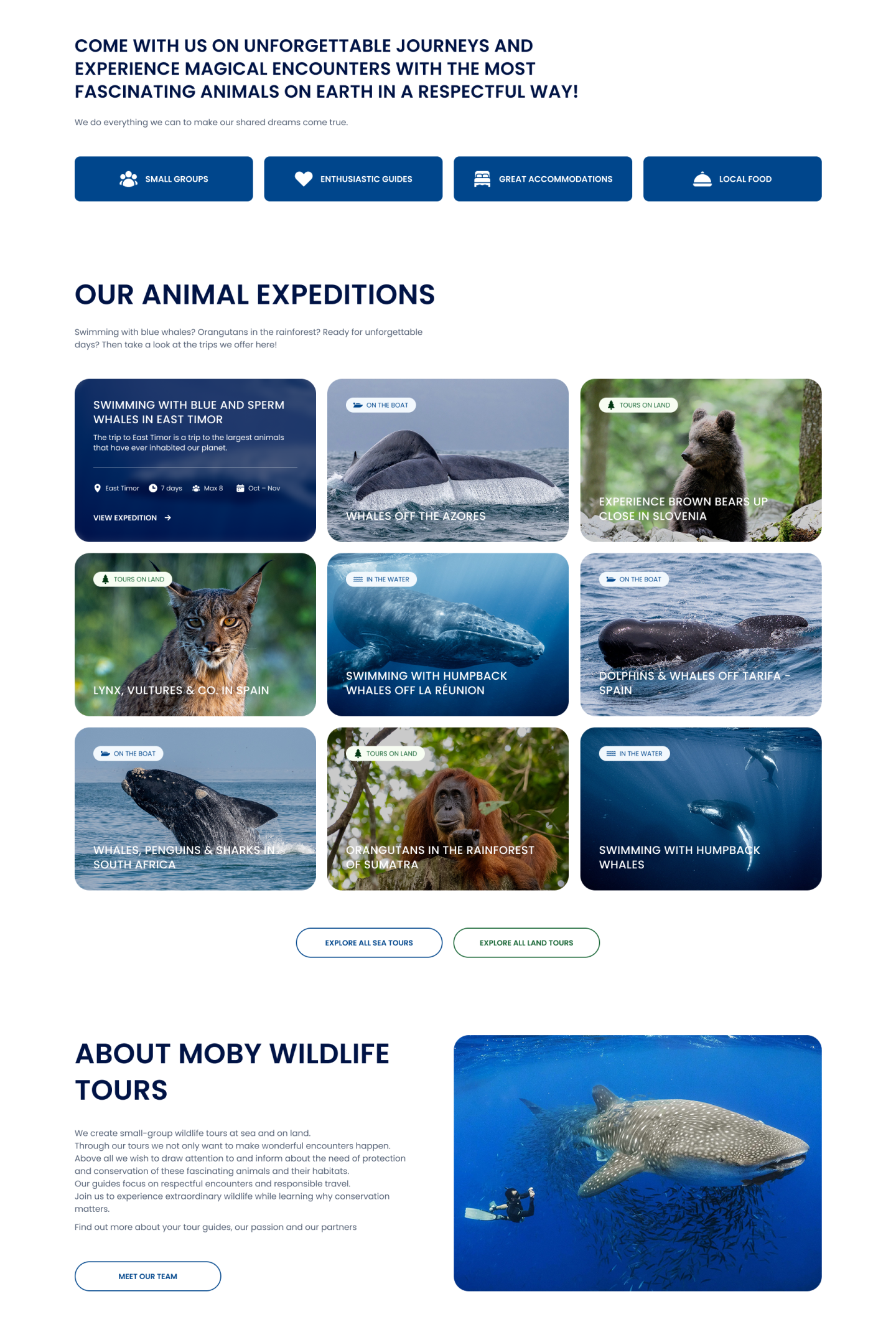 Moby Wildlife Tours