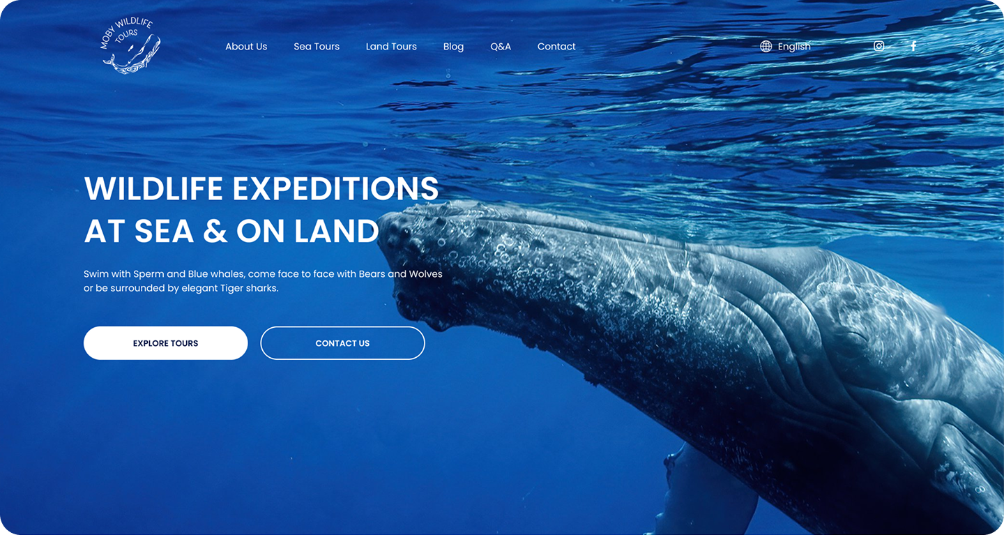 Moby Wildlife Tours