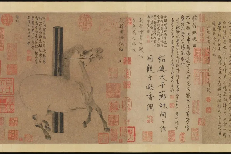 THE SACRED NOMADIC STEED AWAKENS 