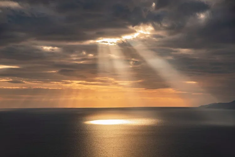 CULTIVATING LIGHT THROUGH NEUROARTS AND CONSCIOUS PRESENCE