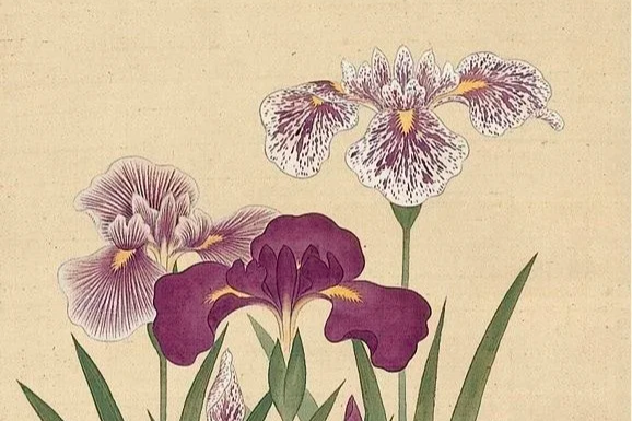BLOOM AT YOUR OWN PACE - OUBAITORI