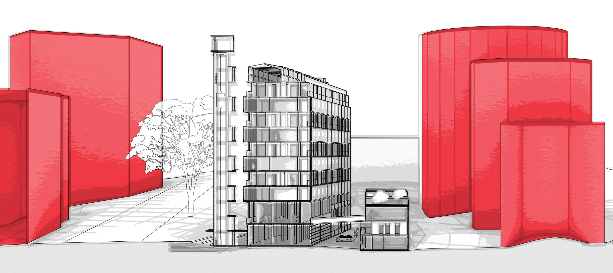 FINAL SECTION HETAN.jpg