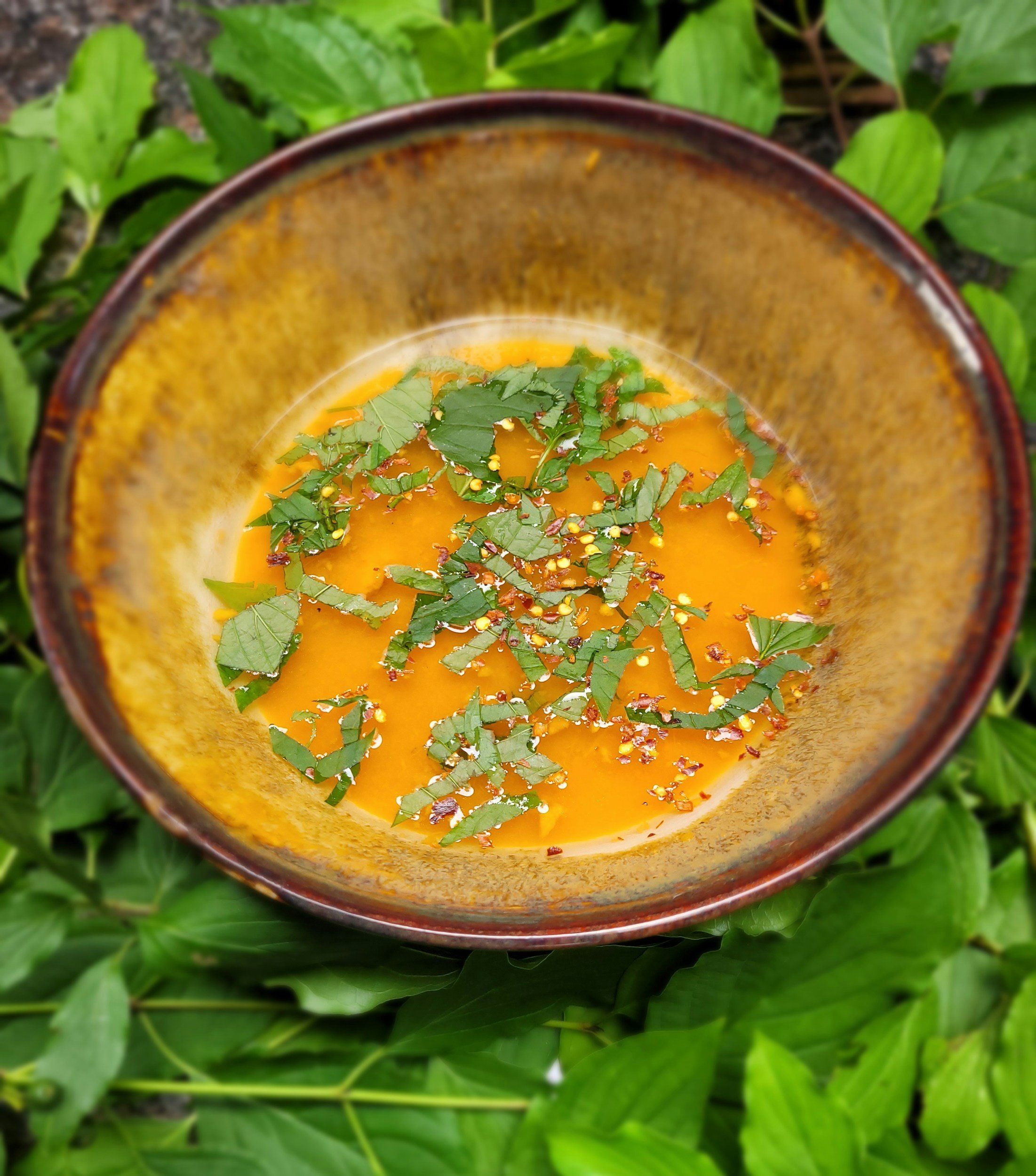Ayurvedic Carrot &amp; Red Lentil Soup (Serves 2)