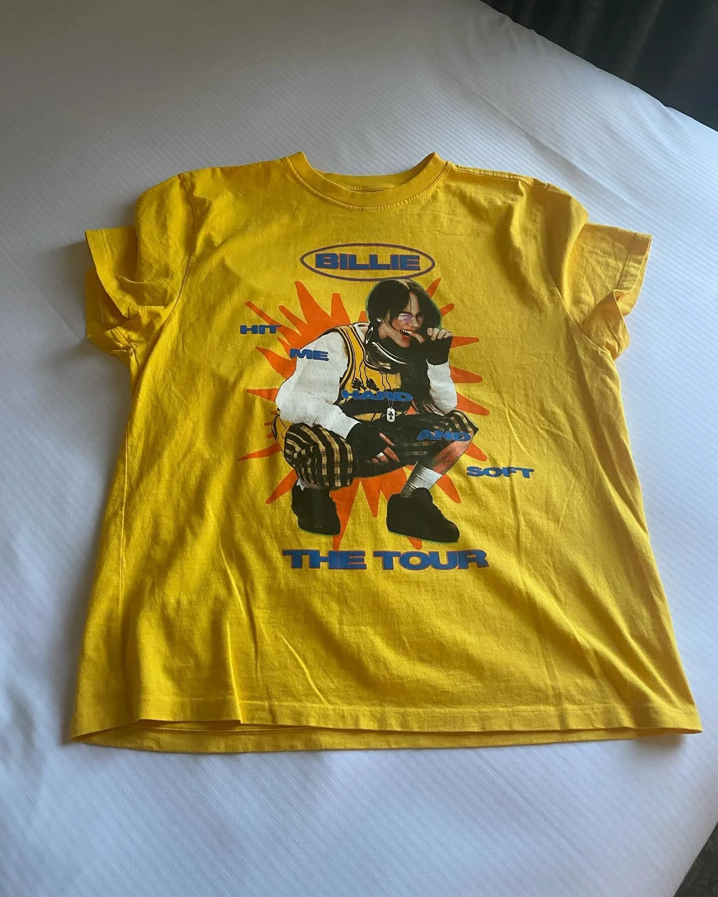 Best way to celebrate a book launch? Take my blue birds of a feather to see Billie.