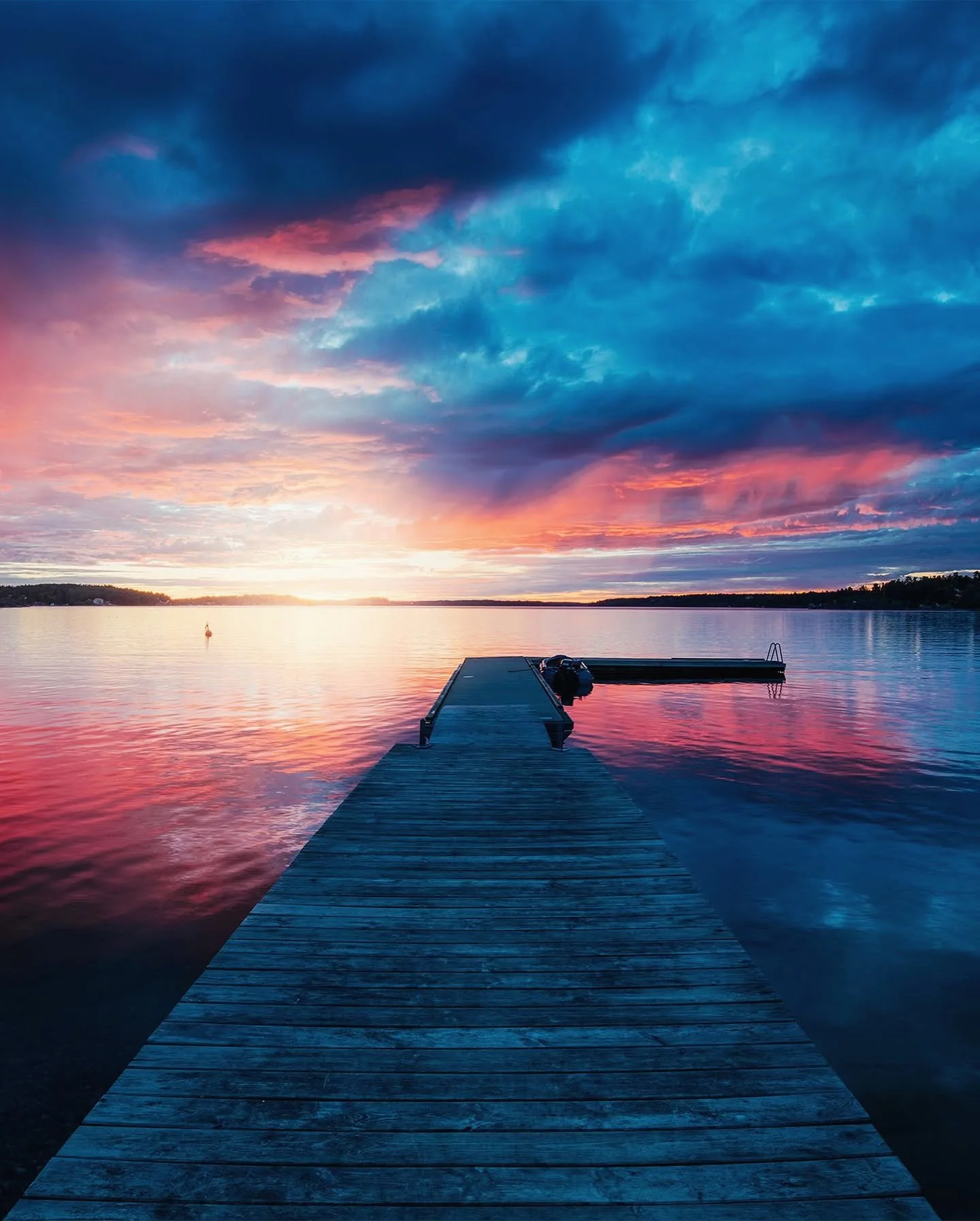 Do you wish you could escape to the Swedish wilderness this summer? Looking for some romance? Looking for a story to transport you? Look no further!  Owls and Other Assassins has everything you need to escape and fall in love. 💙💚

#contemporaryroma