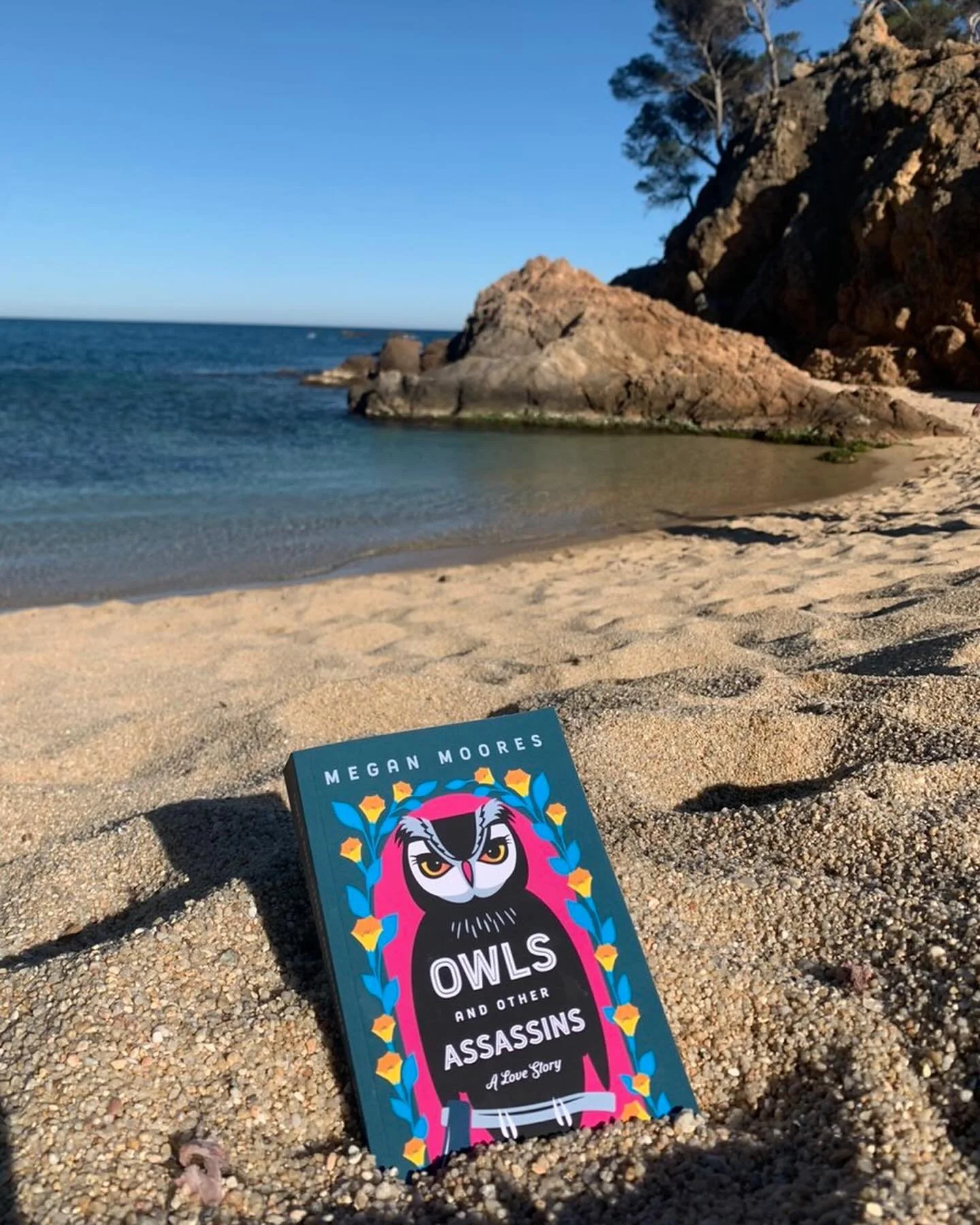 Owls love to fly! And one of my European readers sent me photos of this Owl relaxing by the Mediterranean Sea and touring Barcelona. So happy to see my book traveling the globe. 

#contemporaryromancebooks #contemporaryromancereads #contemporaryroman