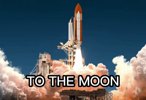 a spaceship launching "to the moon"