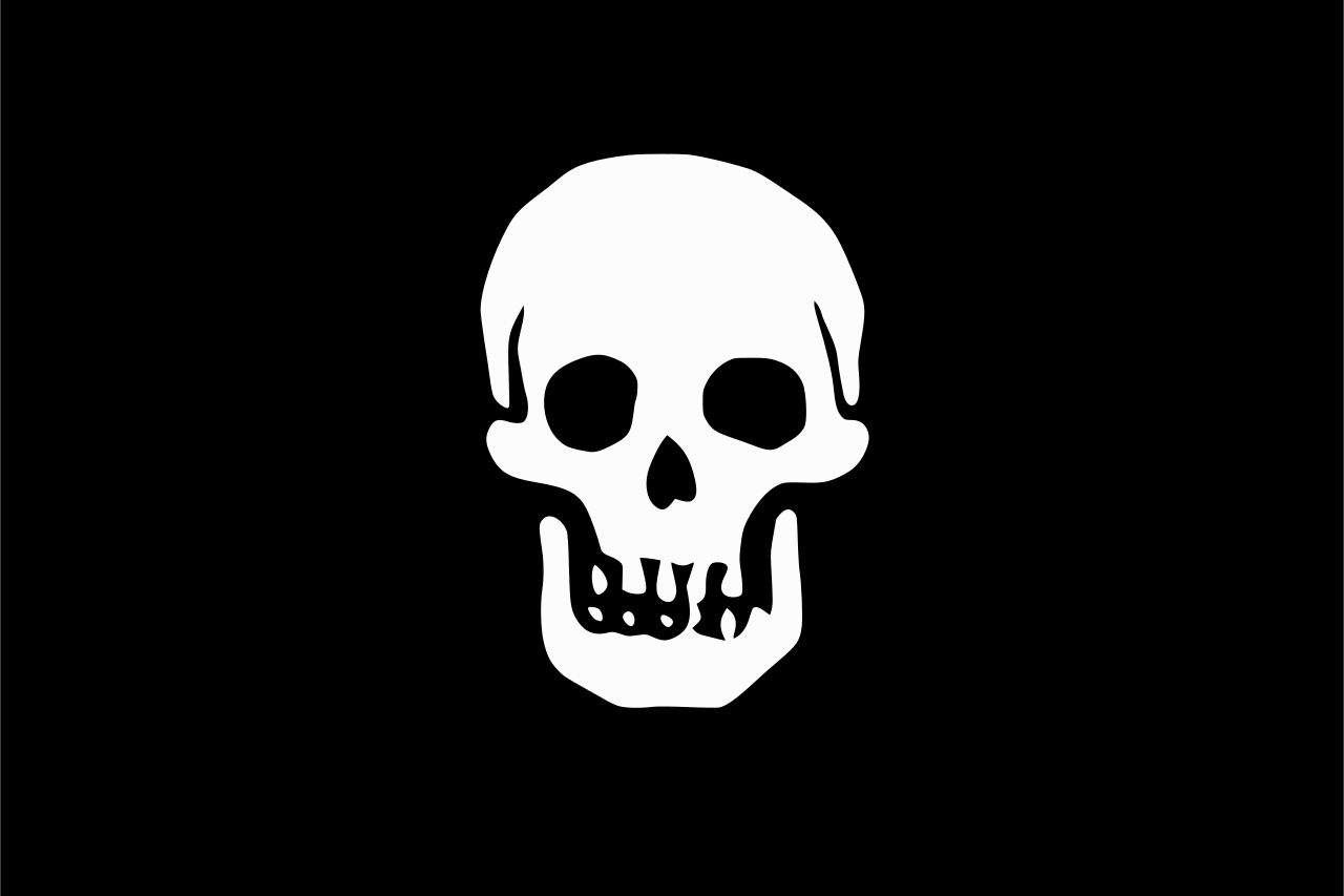blackbeard's flag; the deaths head