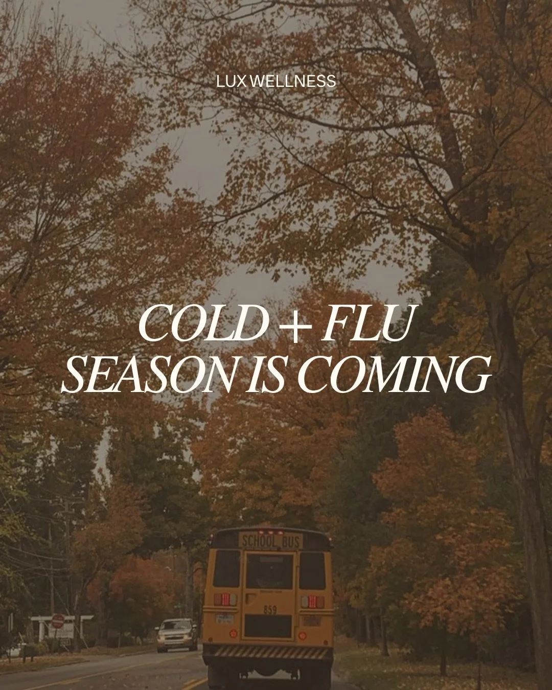 Cold + flu season is coming.

And what have we all been told to do when we&rsquo;re sick?

Rest and hydrate.

There&rsquo;s a reason we keep coming back to the basics.

When you&rsquo;re fighting an illness, you may be dealing with fever, sweating, v