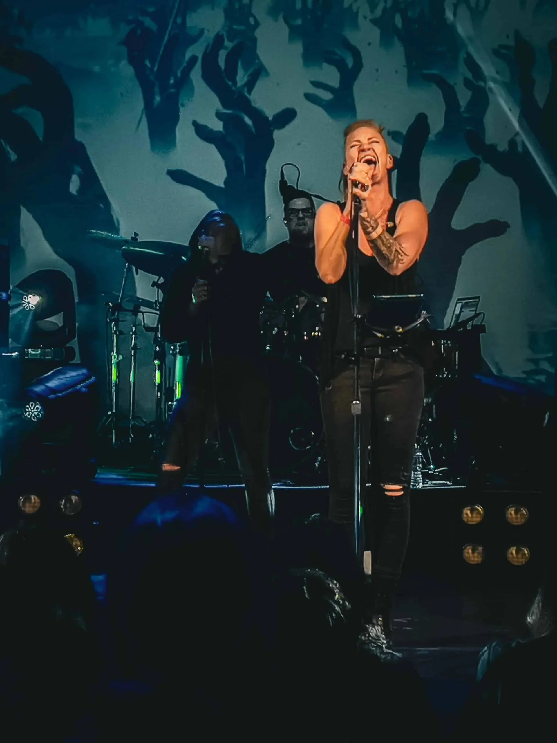 LMS AMP tower 1.jpeg