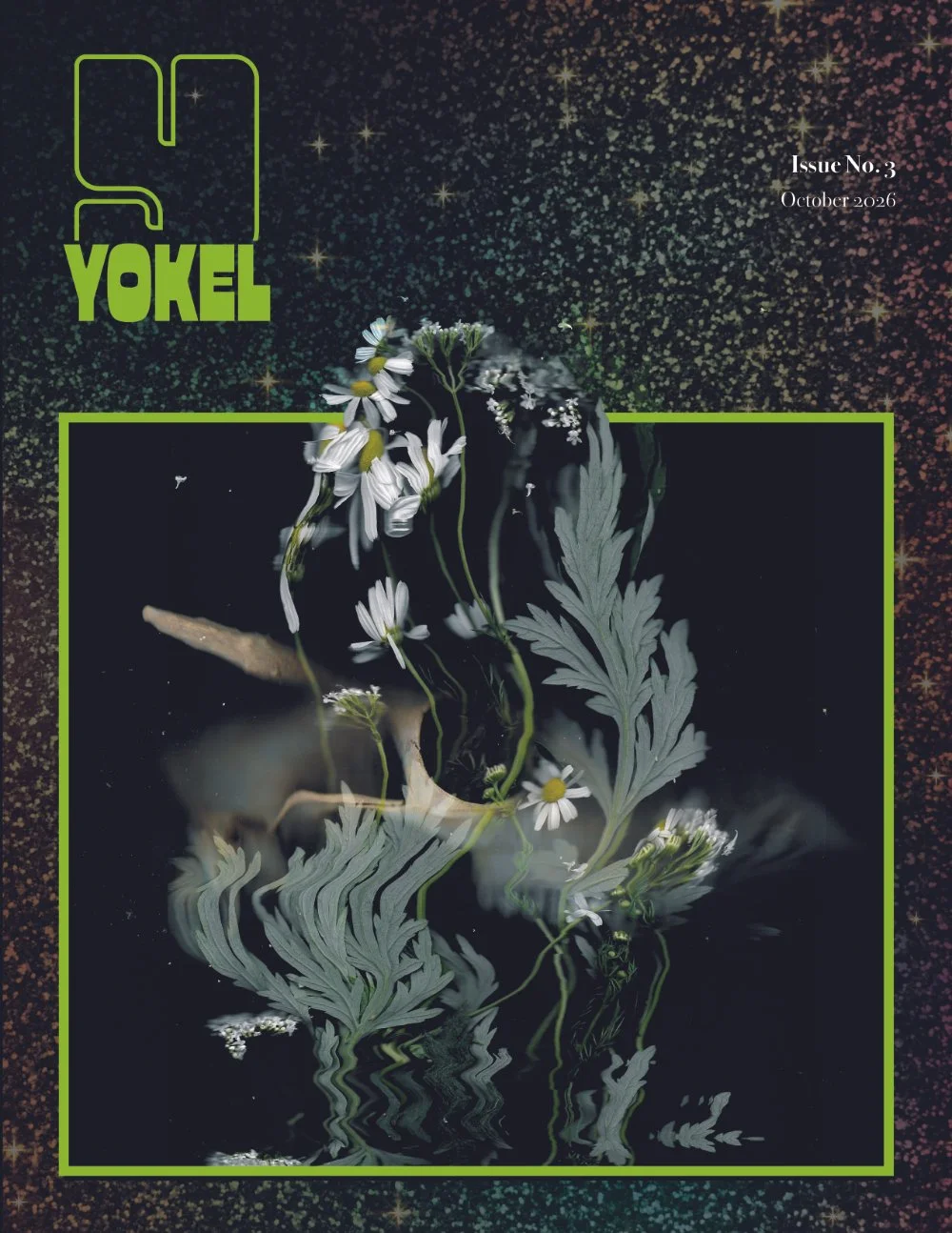 Yokel_Oct2026_cover_store.jpg