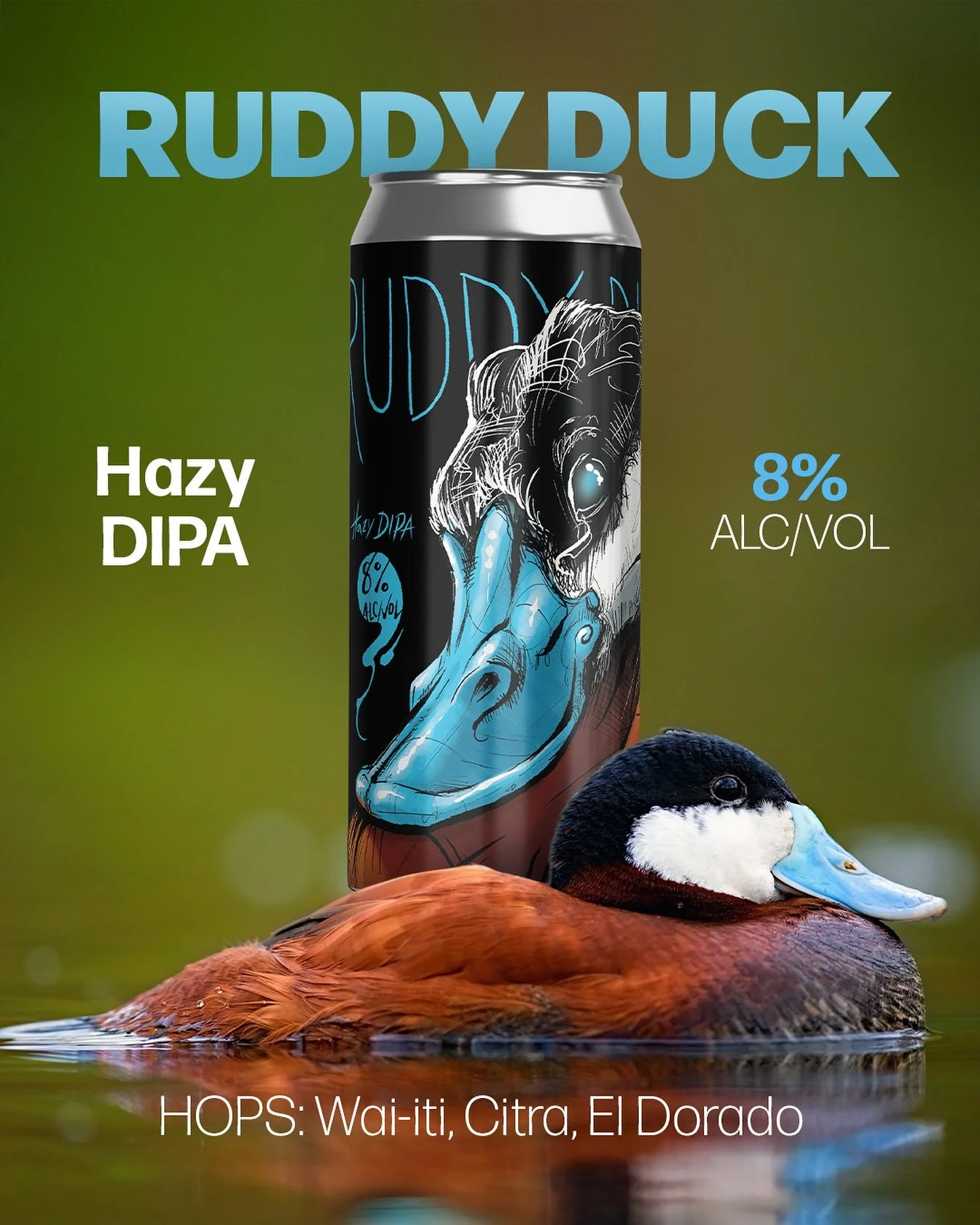 Ruddy Duck Hazy DIPA 🦆 Brewed with Wai-iti, Citra, and El Dorado hops for a bright, juicy profile. Sitting at 8% ABV and available in cans &amp; kegs. Add Ruddy Duck to your lineup today! 🍻 #BeerFarm #HazyDIPA #DrinkLocal