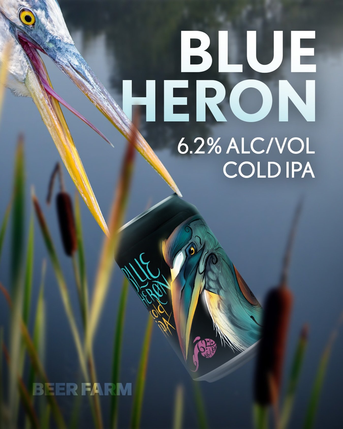 Blue Heron Cold IPA is brewed with Simcoe, Mosaic, and Galaxy hops. It&rsquo;s pine forward with underlying notes of tropical fruit and a crisp, clean finish! Look for Blue Heron at your local Beer Farm retailer! 🍻 #BeerFarm #ColdIPA #BeerFarmDistro