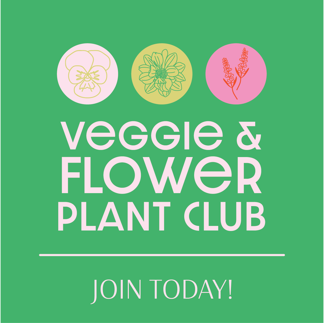 plant_club_flyer_hybrid_option-22.png