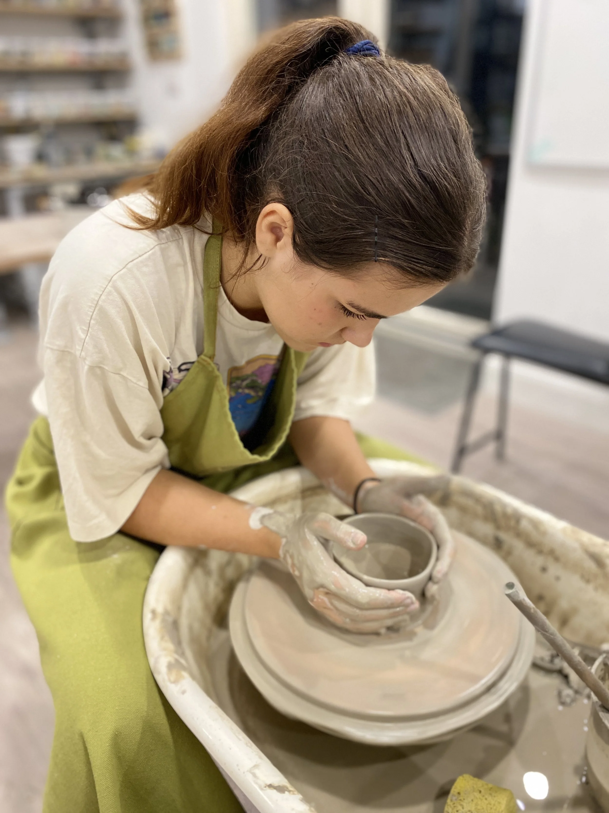 A modern house on a hillside with snow-capped mountains in the background and a cloudy sky.
