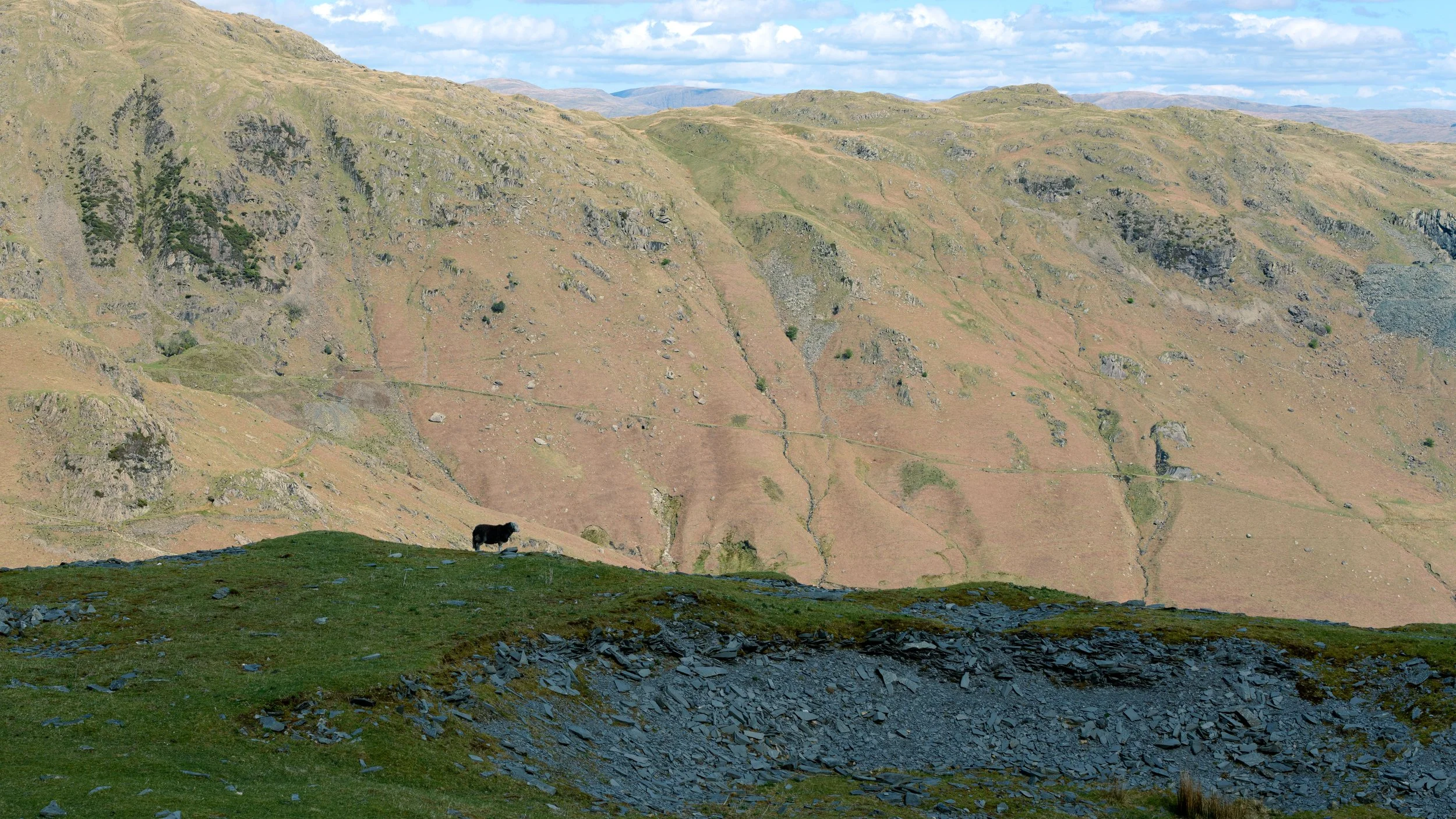 A solitary black cow standing on a grassy hilltop with a mountainous landscape in the background, clear blue sky, and scattered clouds.