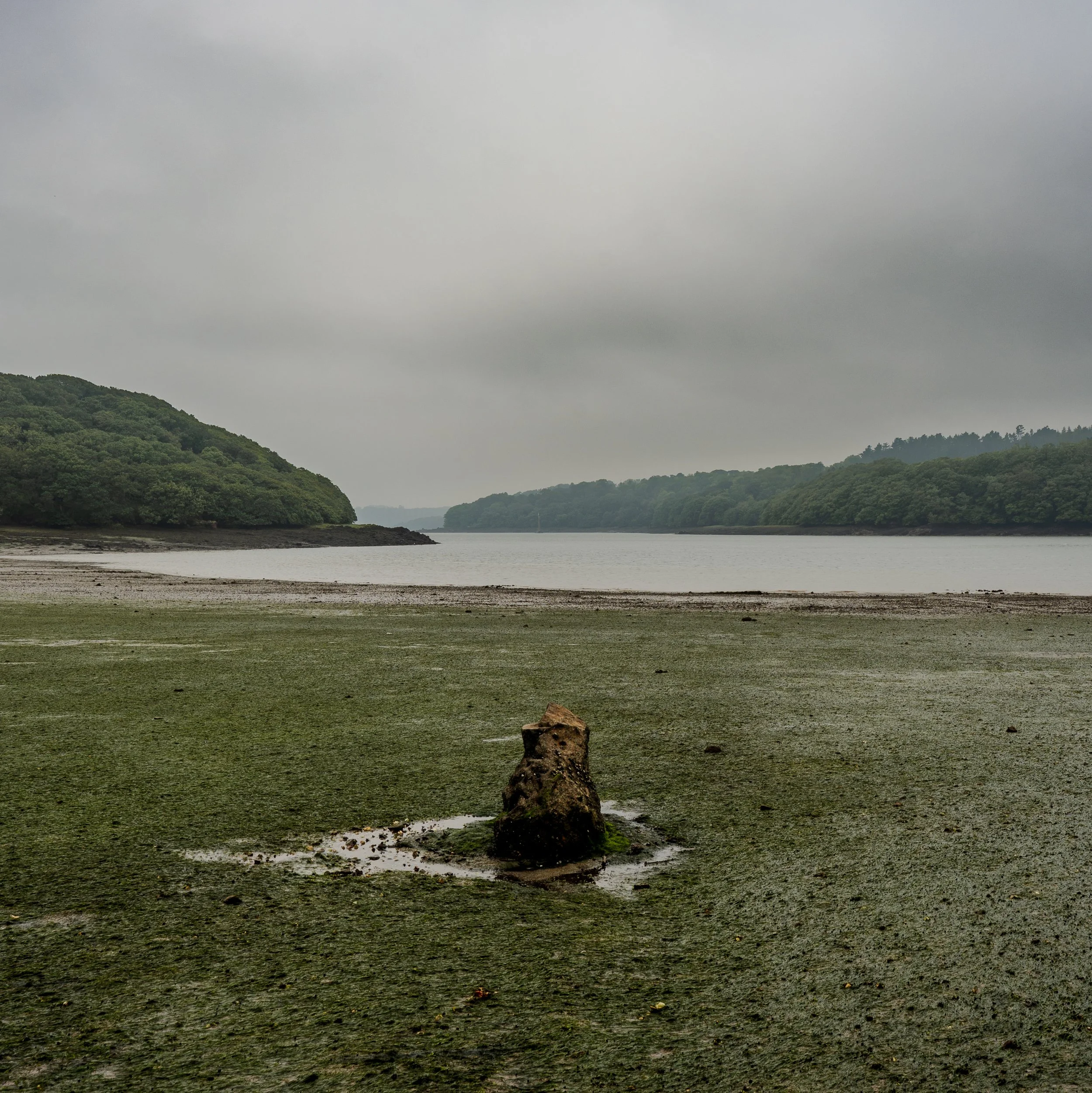 Overcast sky over a river with green hills on either side, mudflats in the foreground, and a lone rock covered in moss.