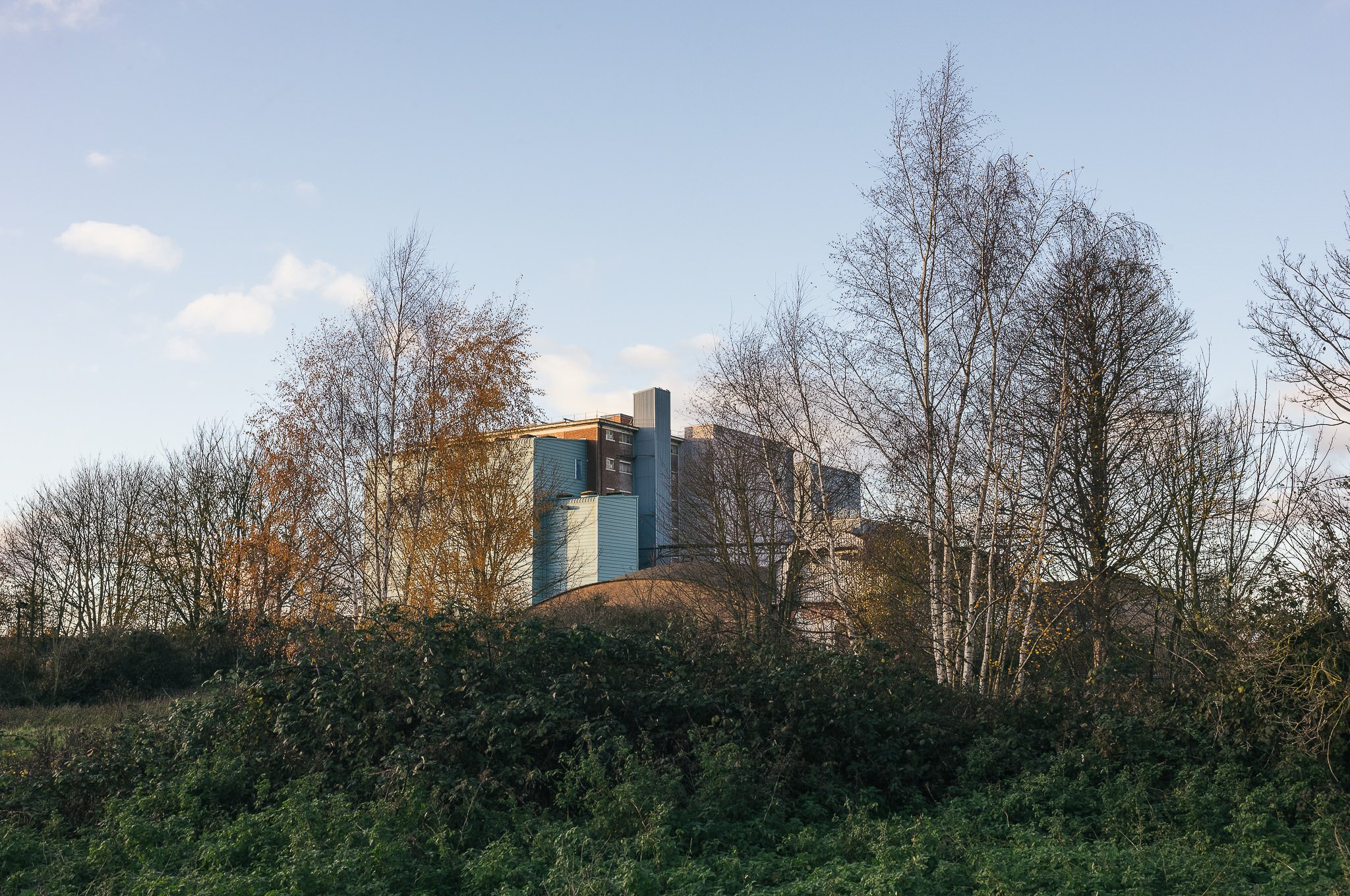 Yorkshire documentary photographer, Leica M11, Selby common at golden hour
