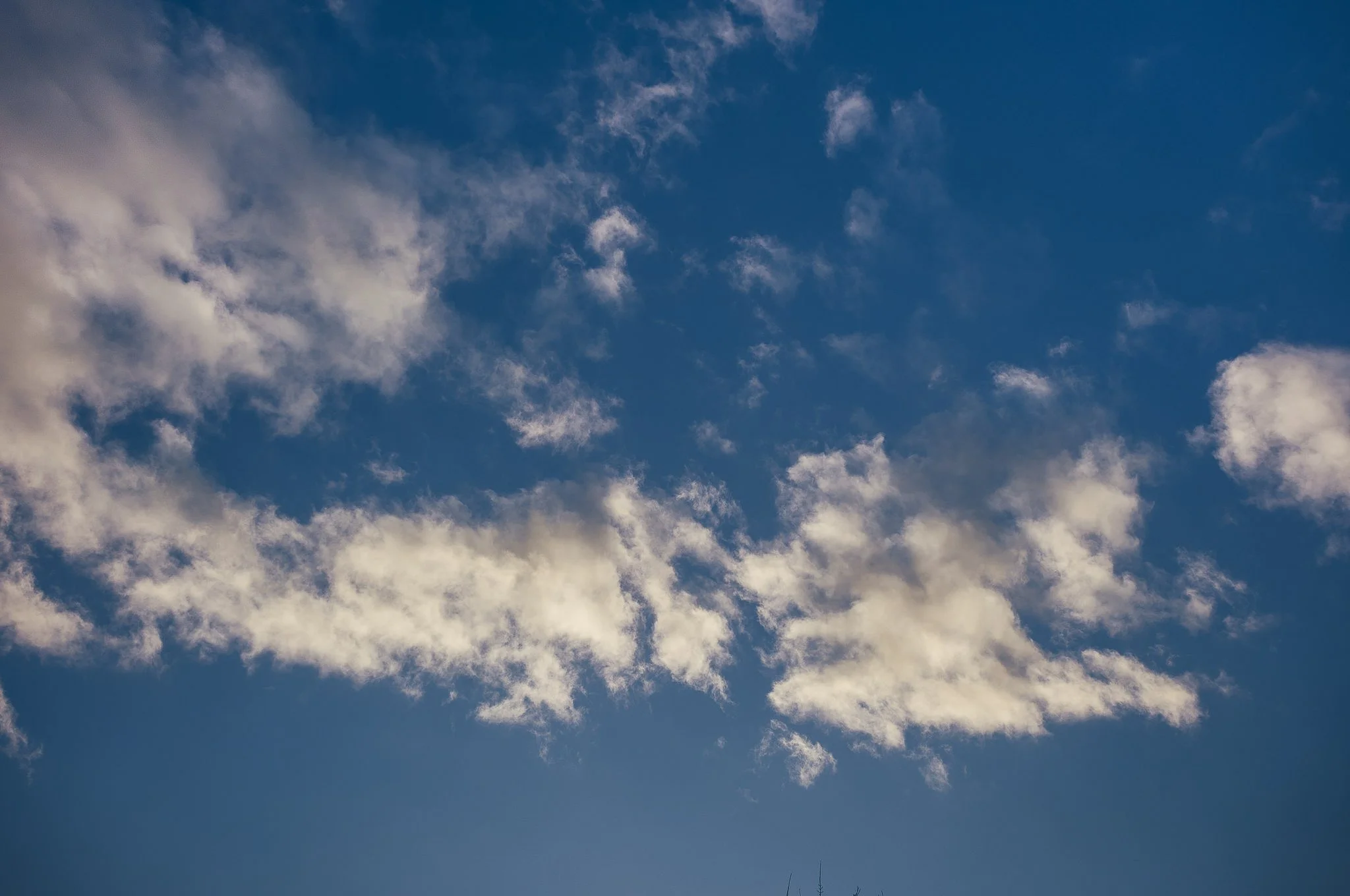 Yorkshire documentary photographer, Leica M11, Selby common at golden hour