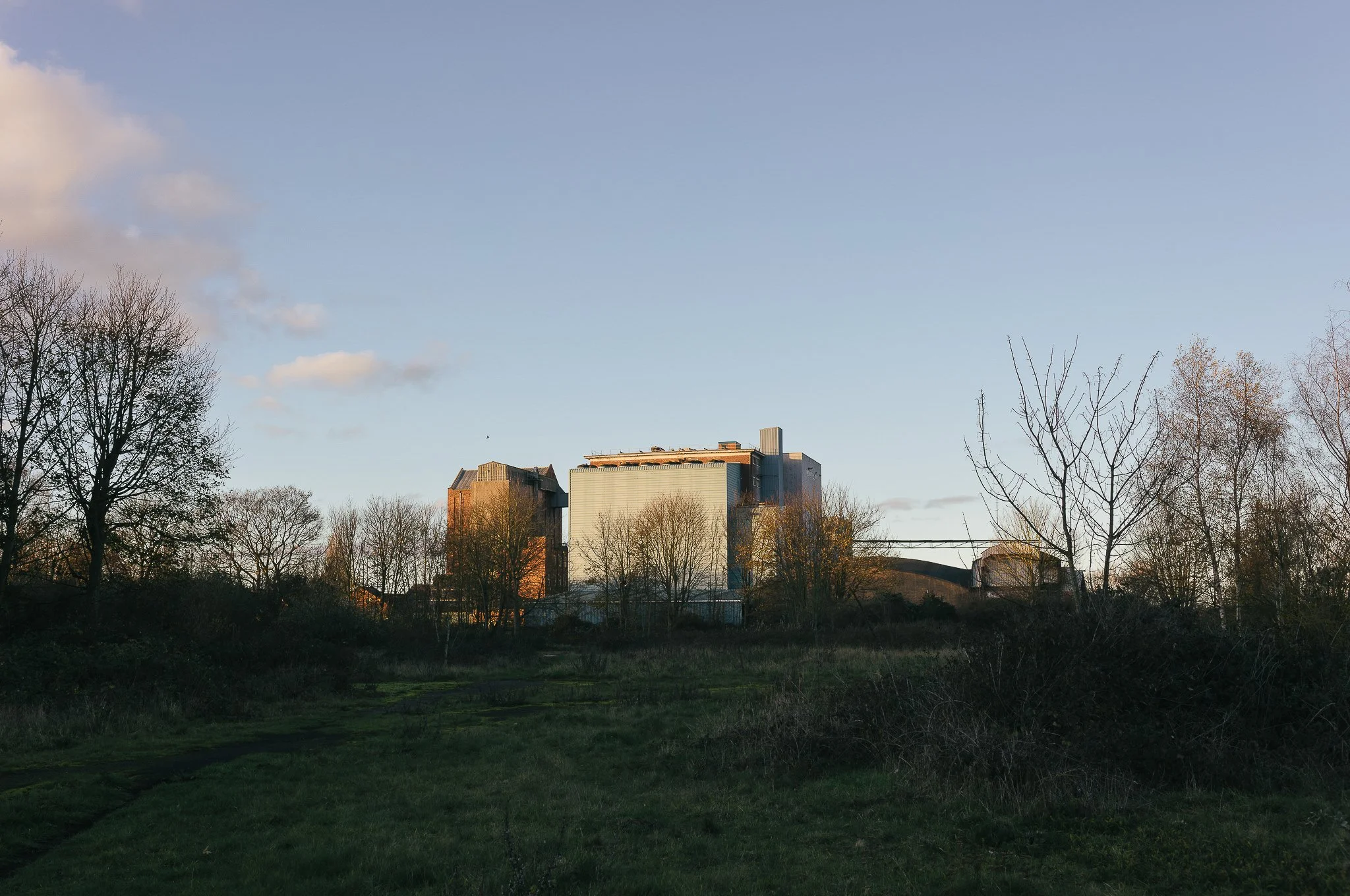 Yorkshire documentary photographer, Leica M11, Selby common at golden hour