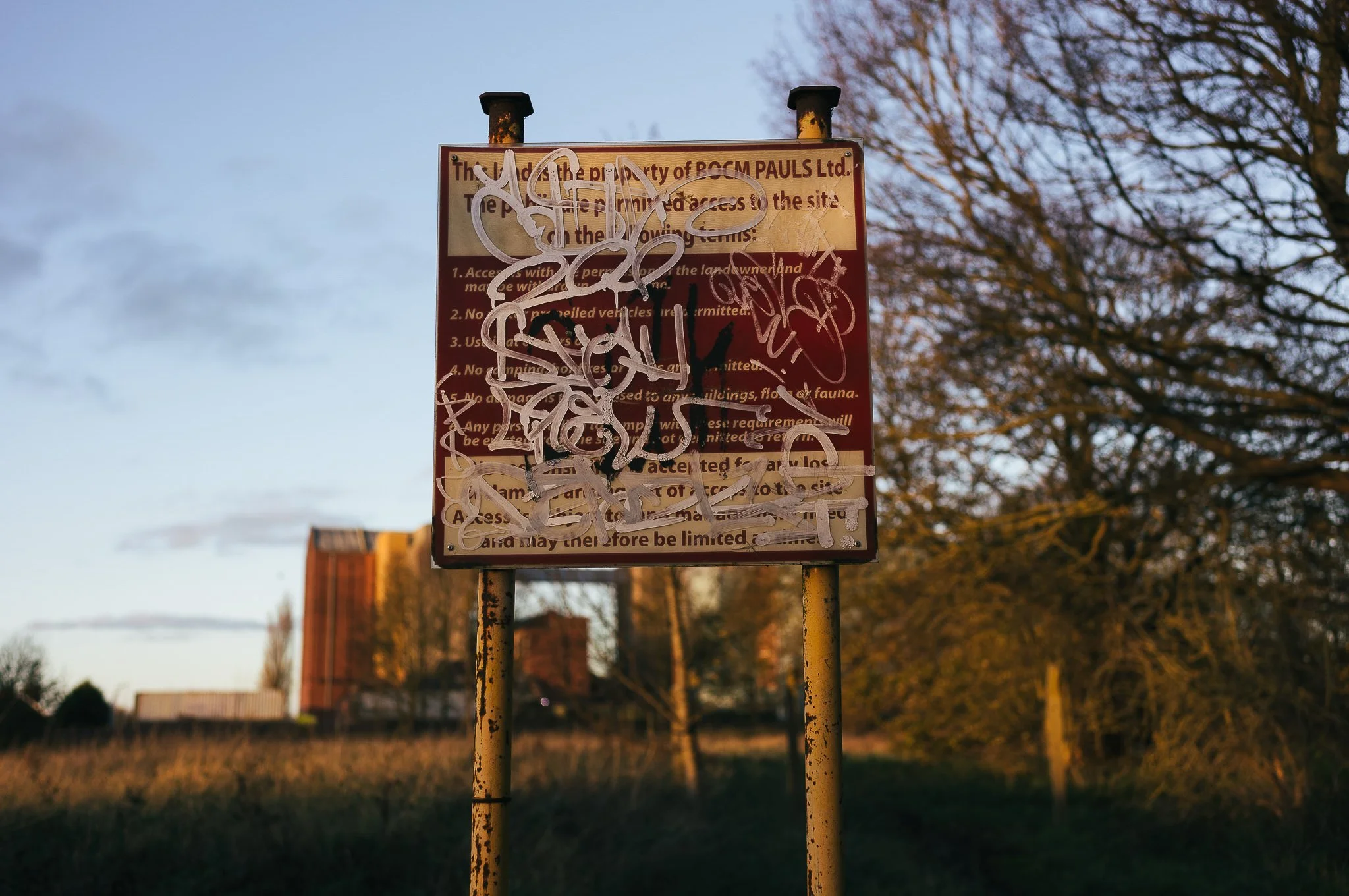 Yorkshire documentary photographer, Leica M11, Selby common at golden hour