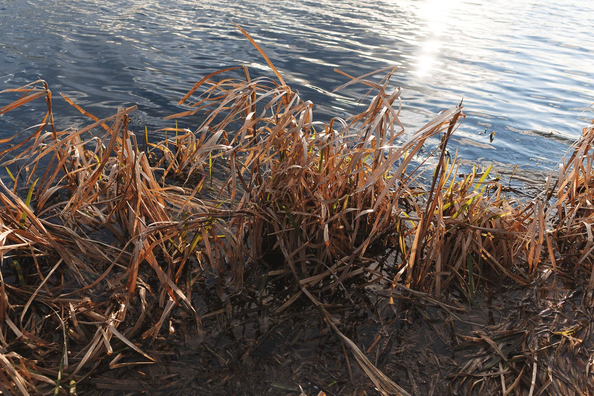 Castle Howard Lakeside