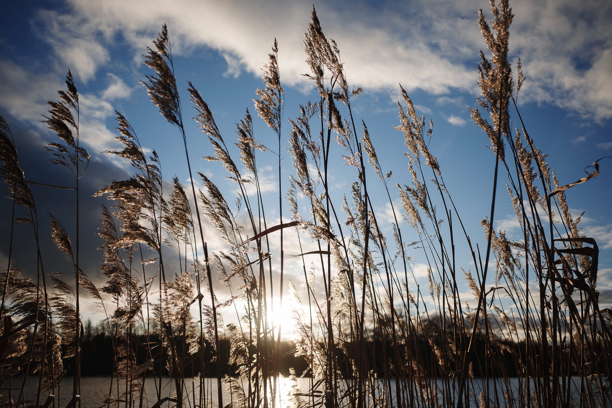 Castle Howard Lakeside