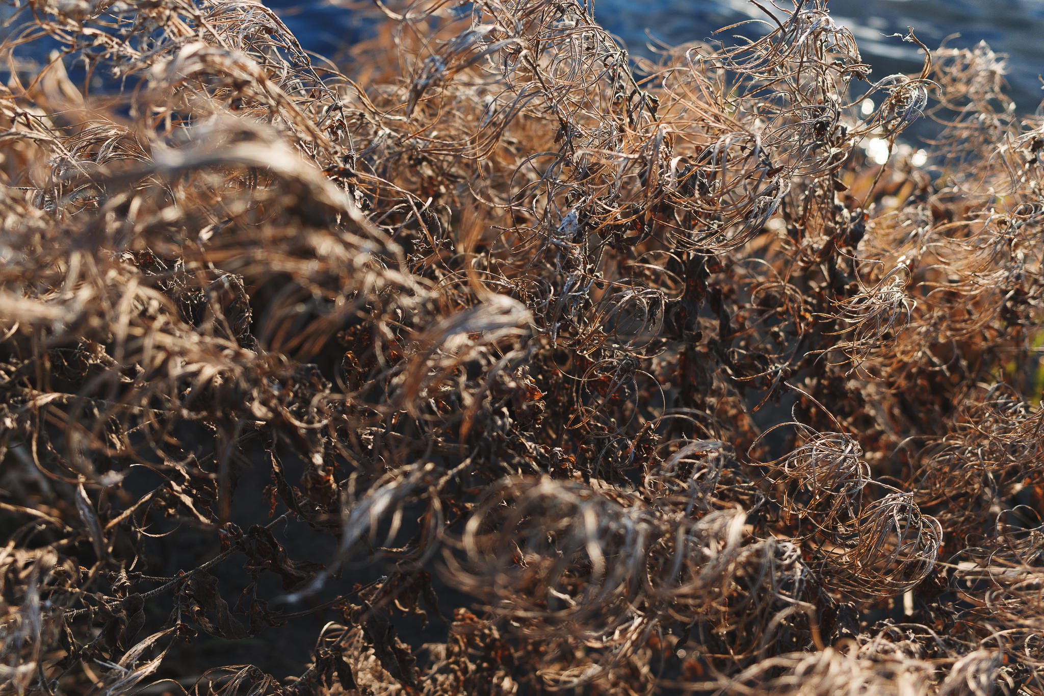 Castle Howard Lakeside