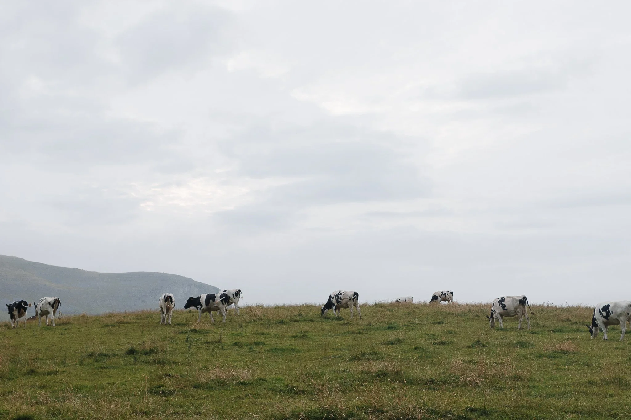Yorkshire three peaks