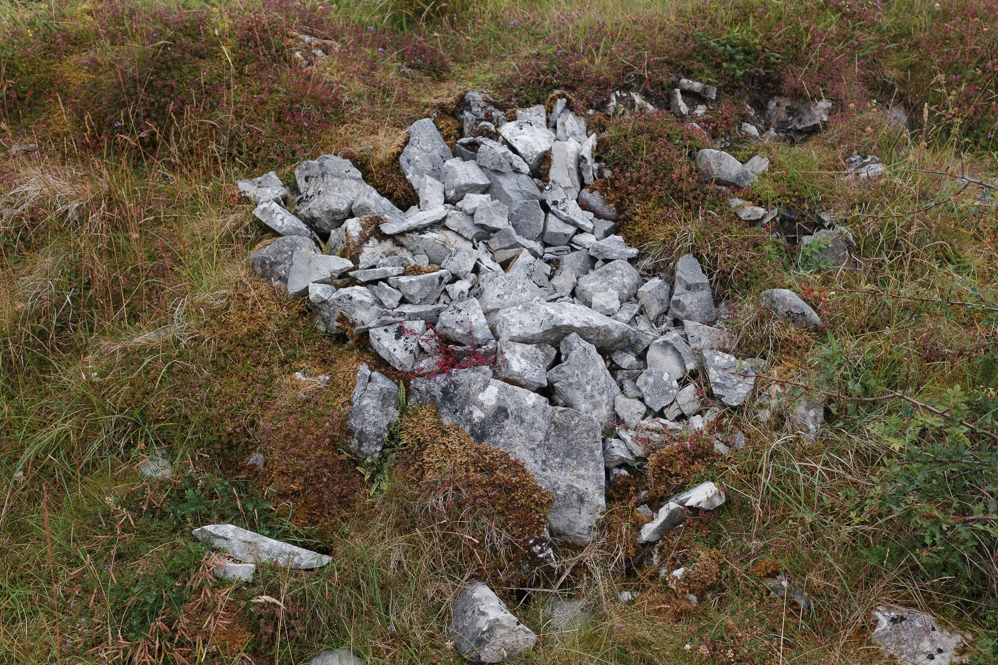 Ingleborough