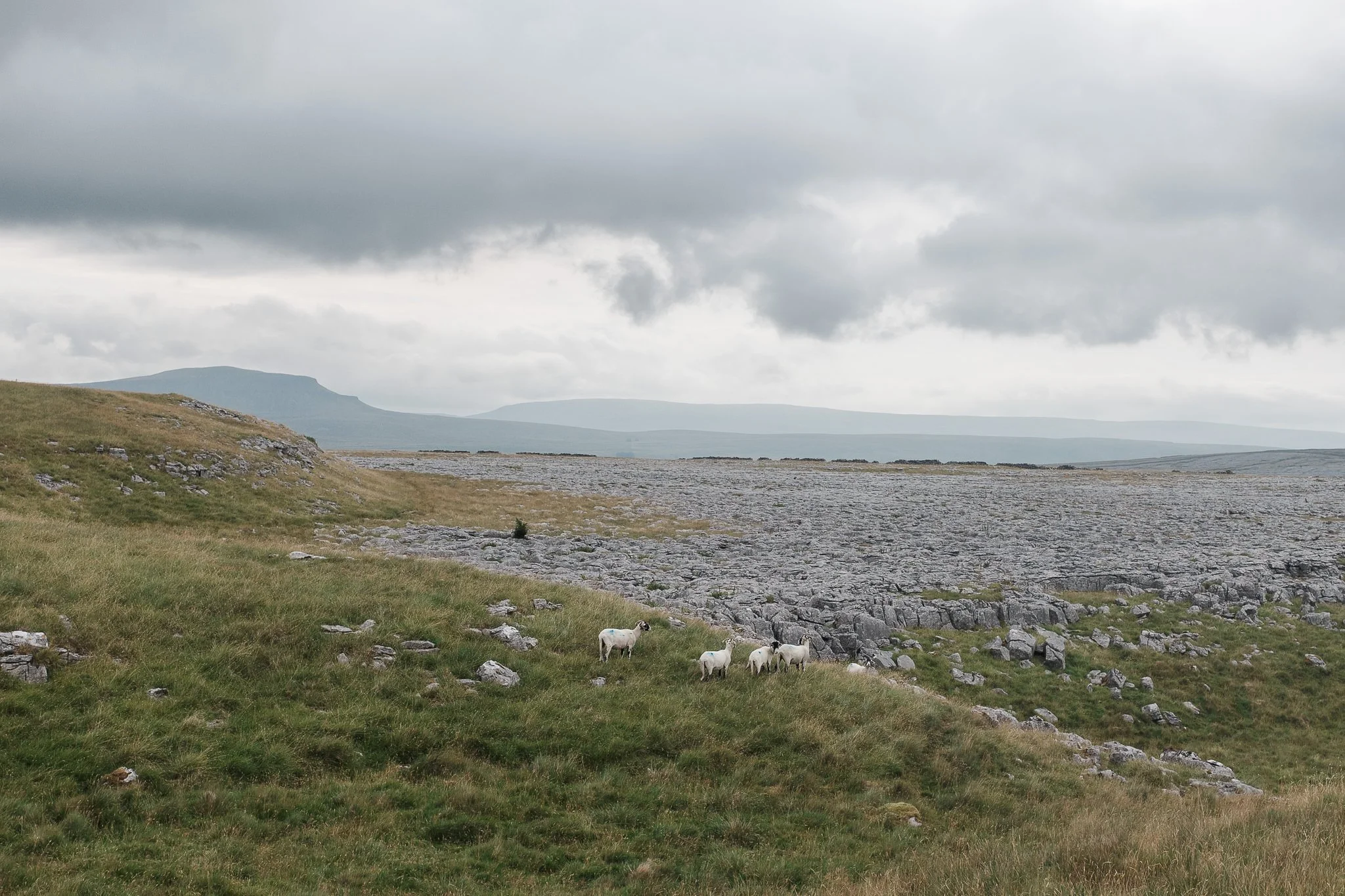 Yorkshire Landscape 