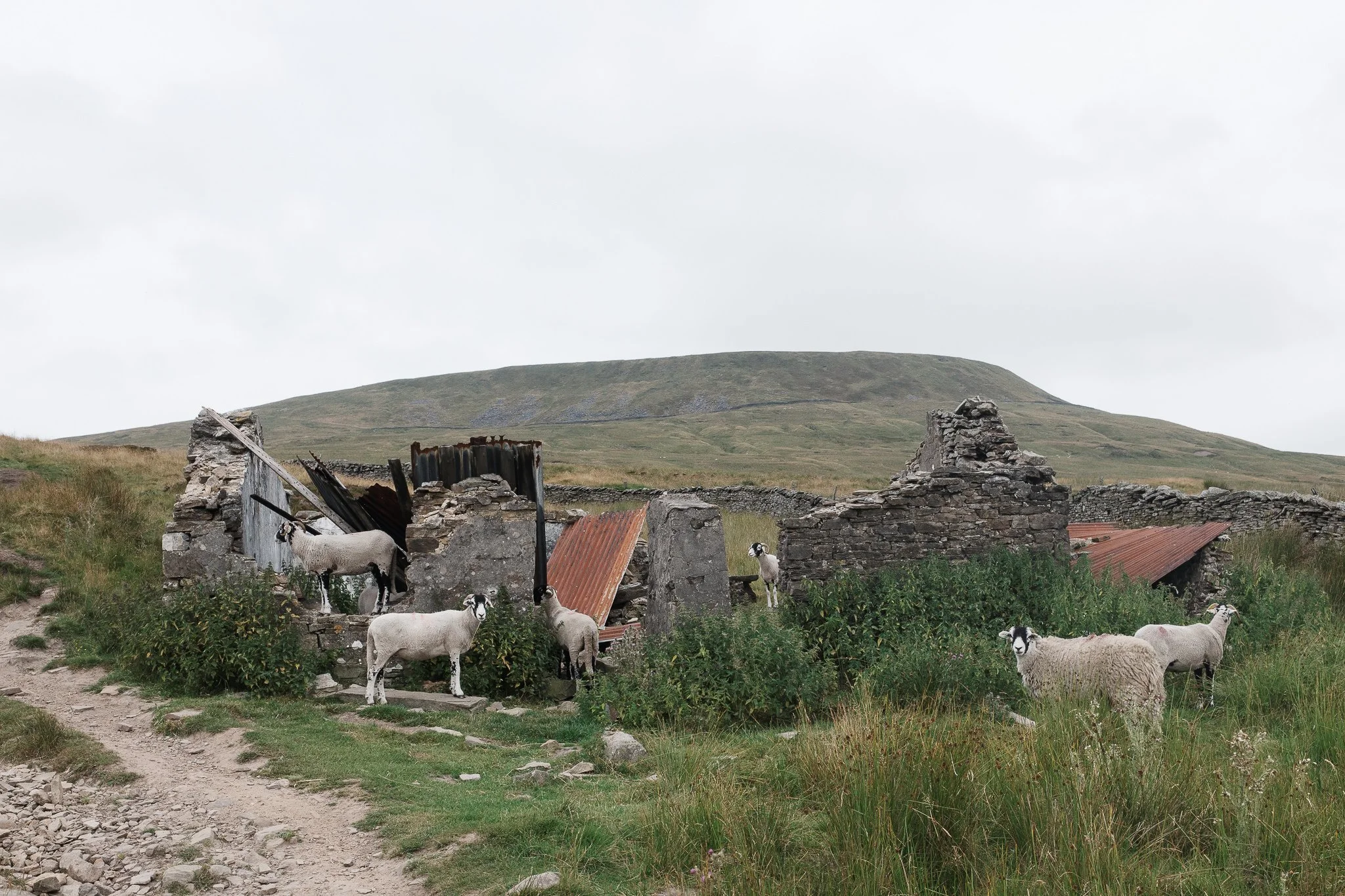 Documentary Landscape