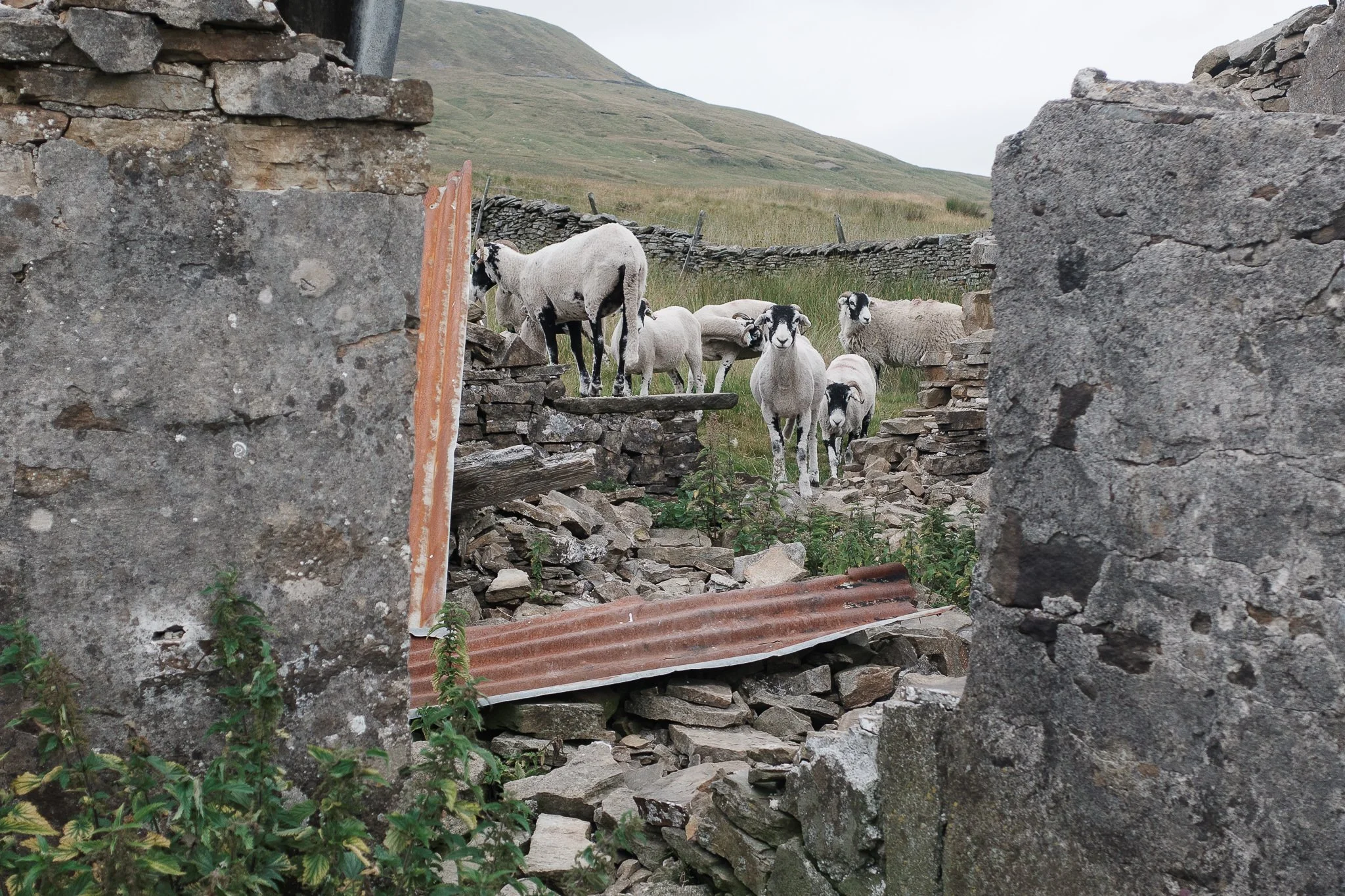 Documentary Landscape